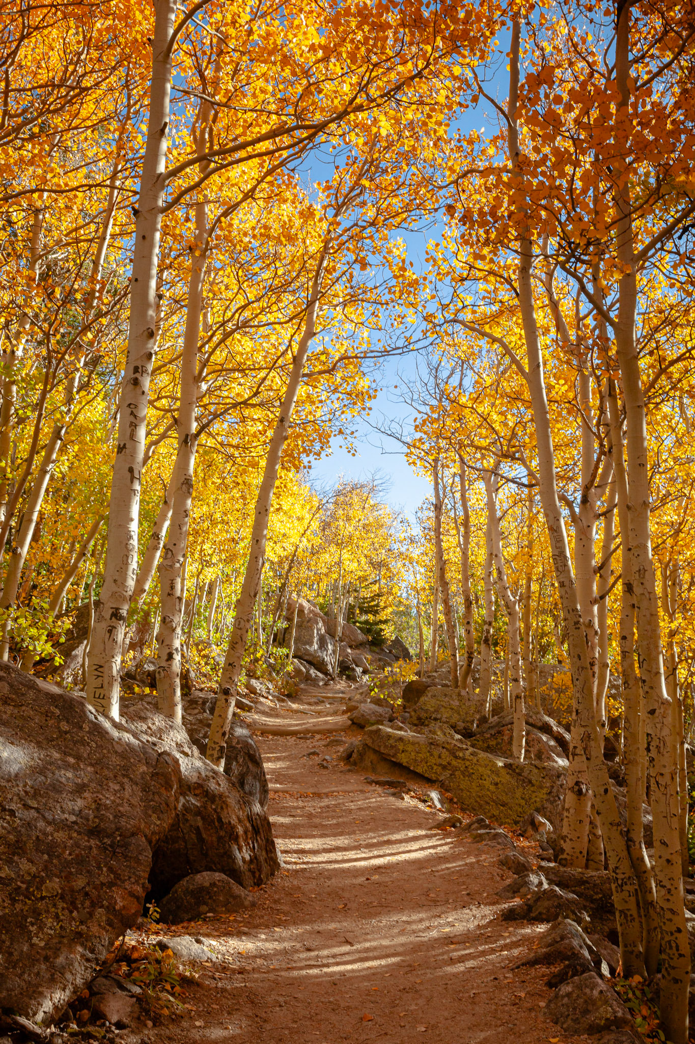Flattop Trail in the Fall