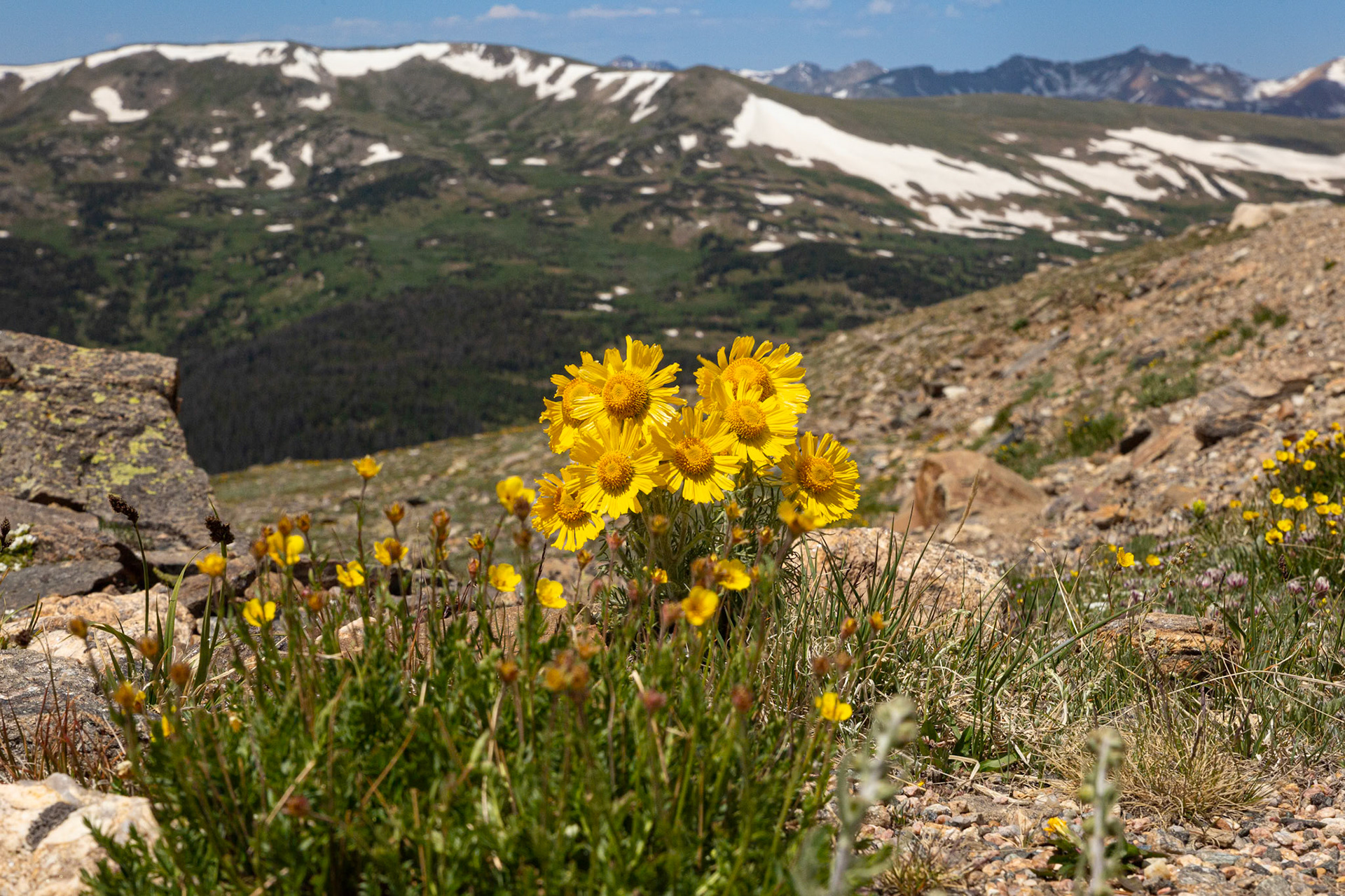 Old Man Of The Mountain