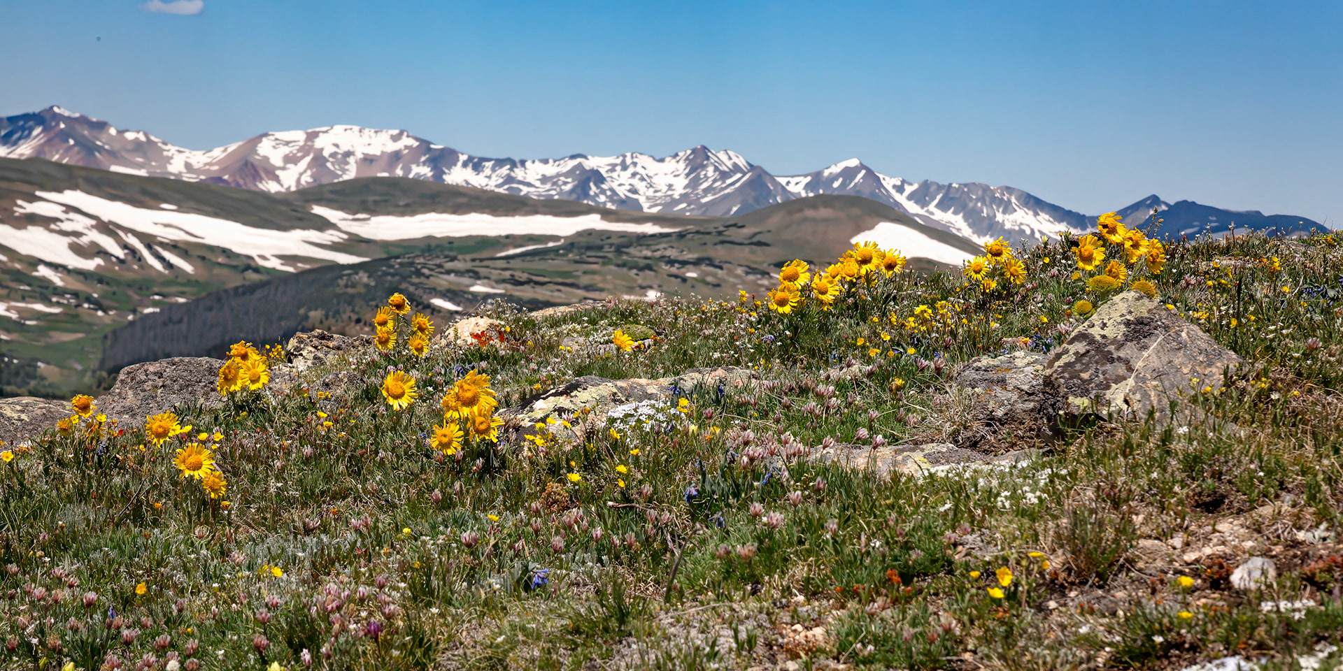 Alpine Tundra Along Trail Ridge Road