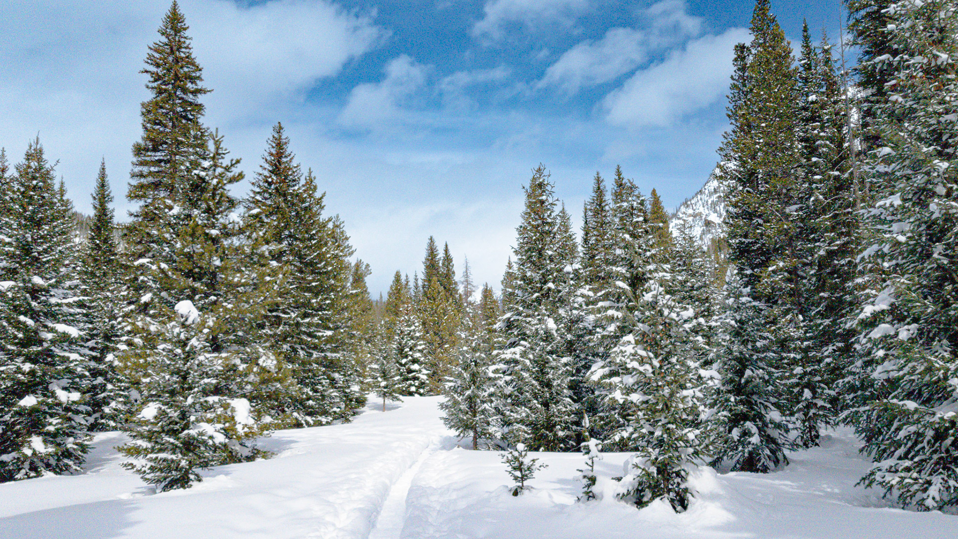 Colorado River Trail in Winter