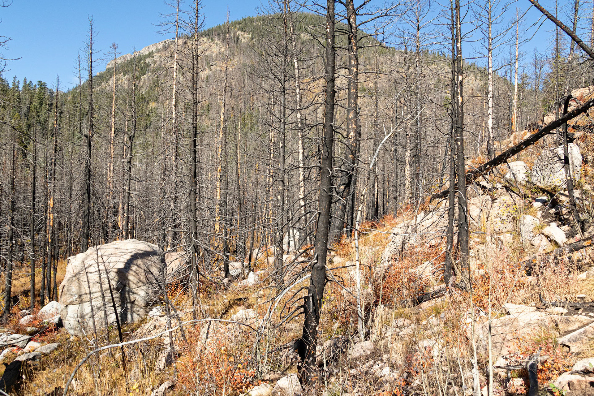 Fern Creek Fire 2012 Damage