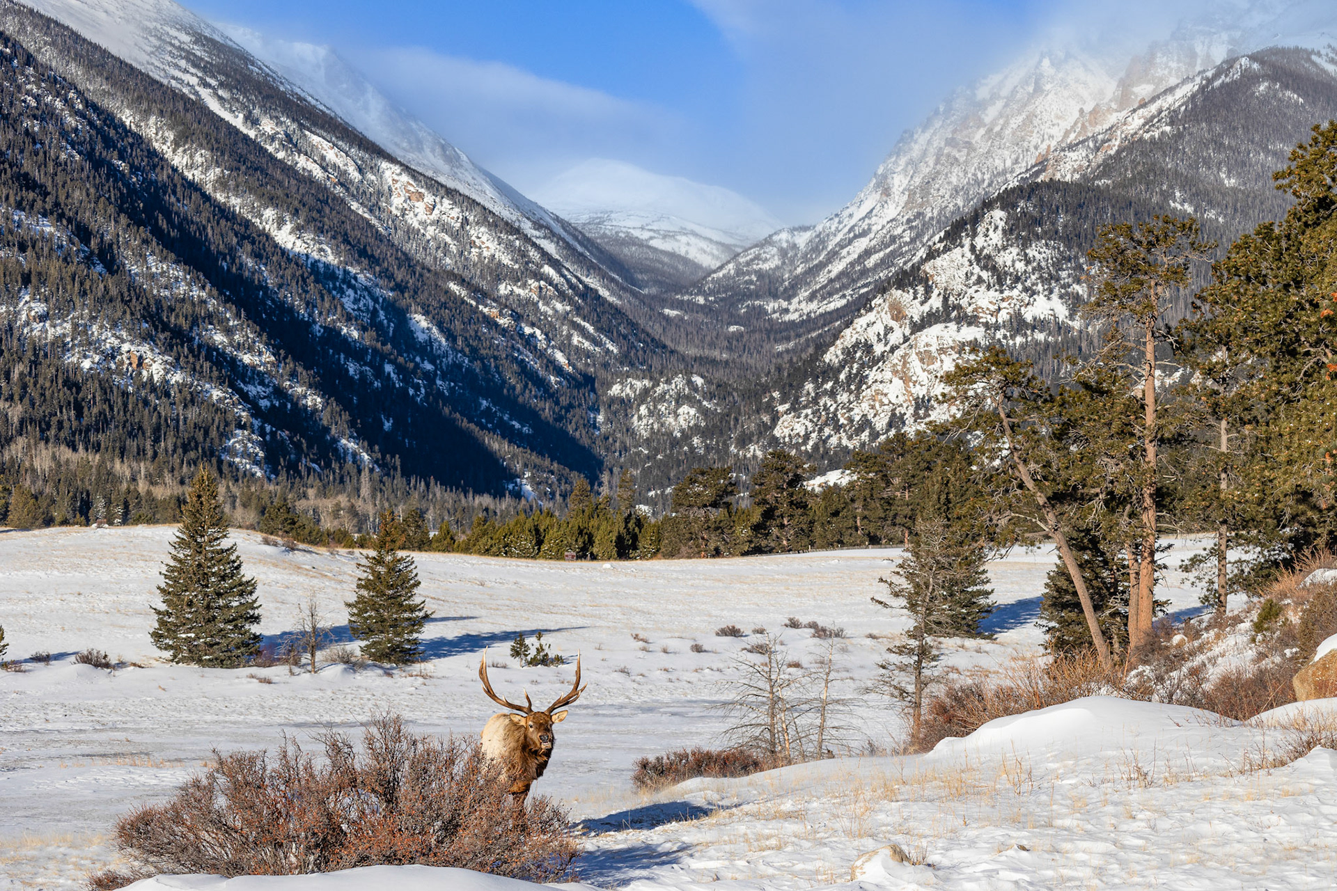Horseshoe Park in Winter