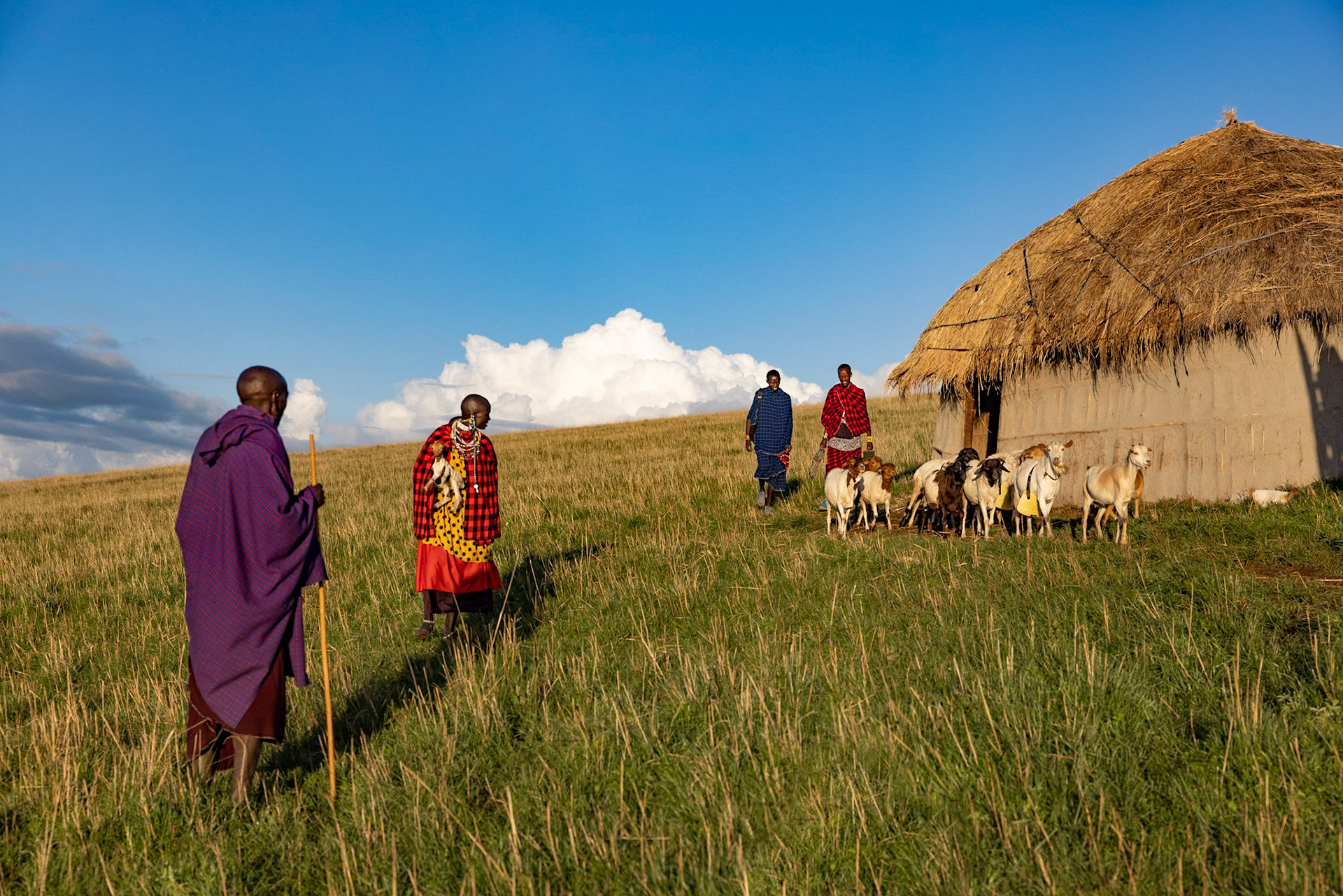 Tanzania, Ngoro Ngoro for Kopelion