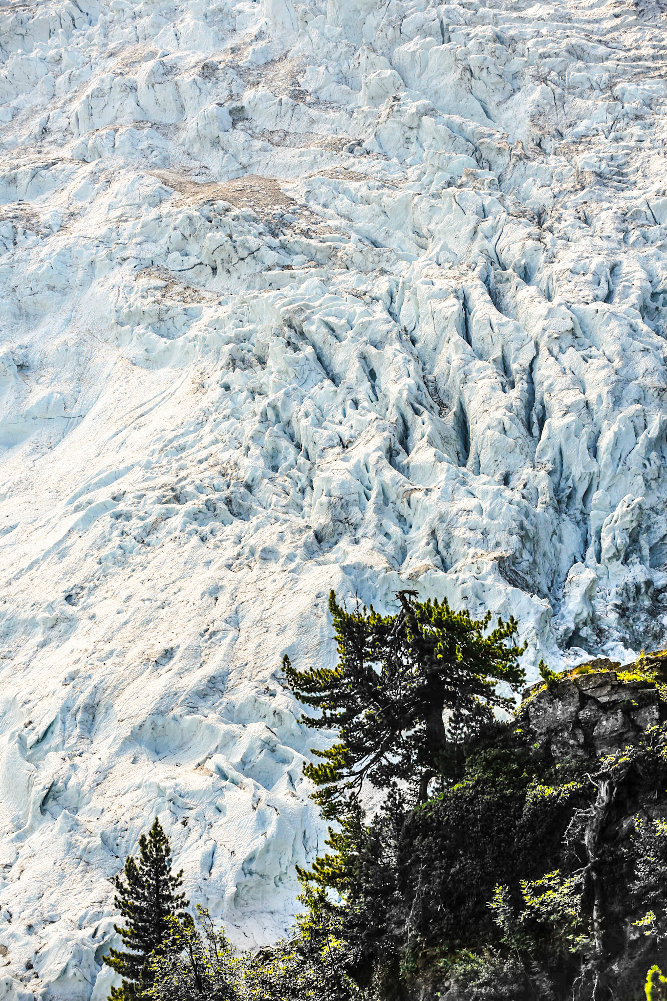 Glacier des Bossons