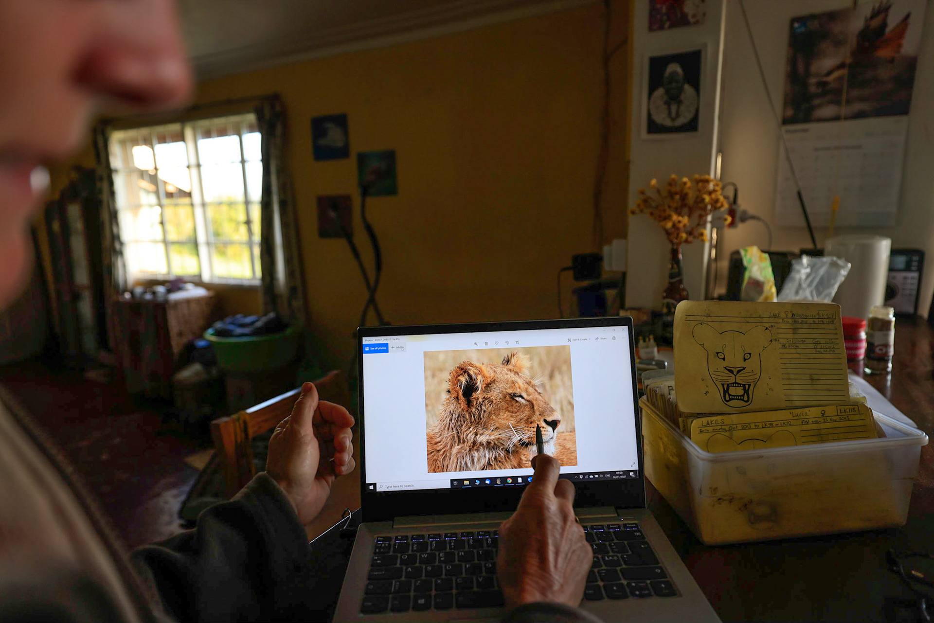 Tanzania, Ngoro Ngoro for Kopelion