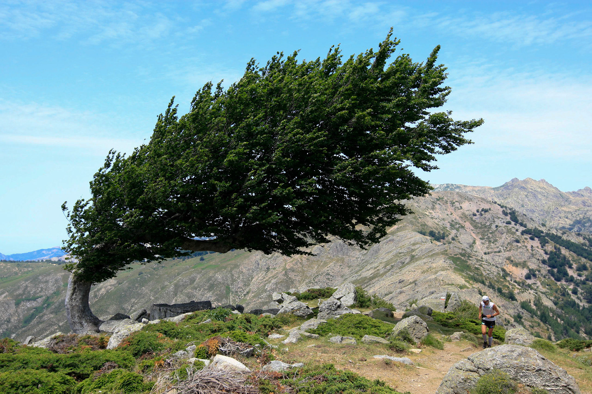 GR20, Corse avec Kilian Jornet