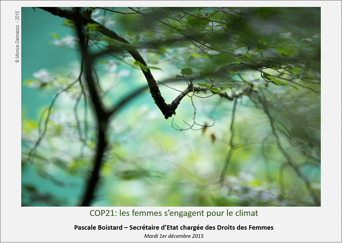 Exposition Cop 21 plateforme genre et développement
