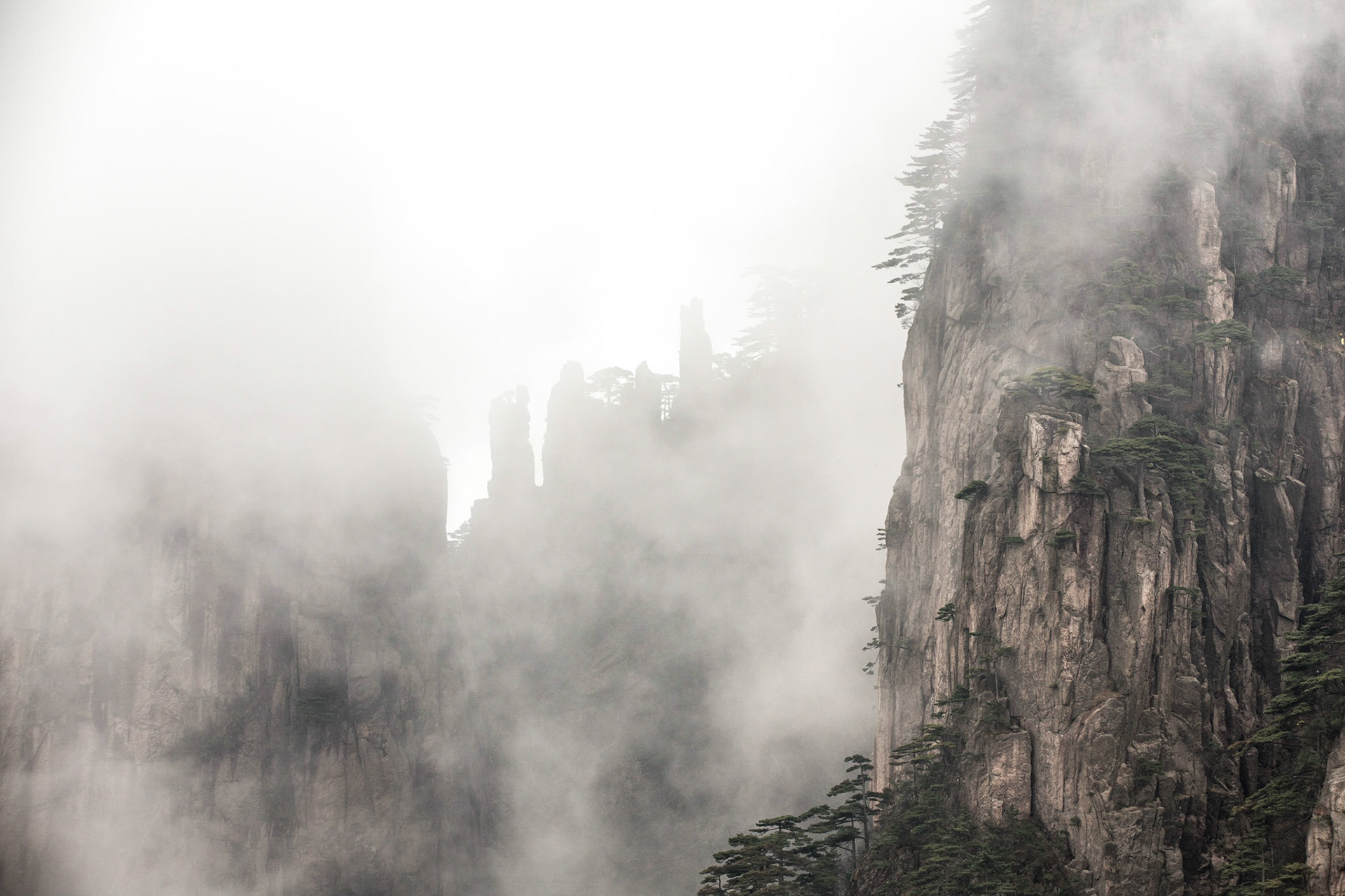 Huang Shan, forêt magique, Chine