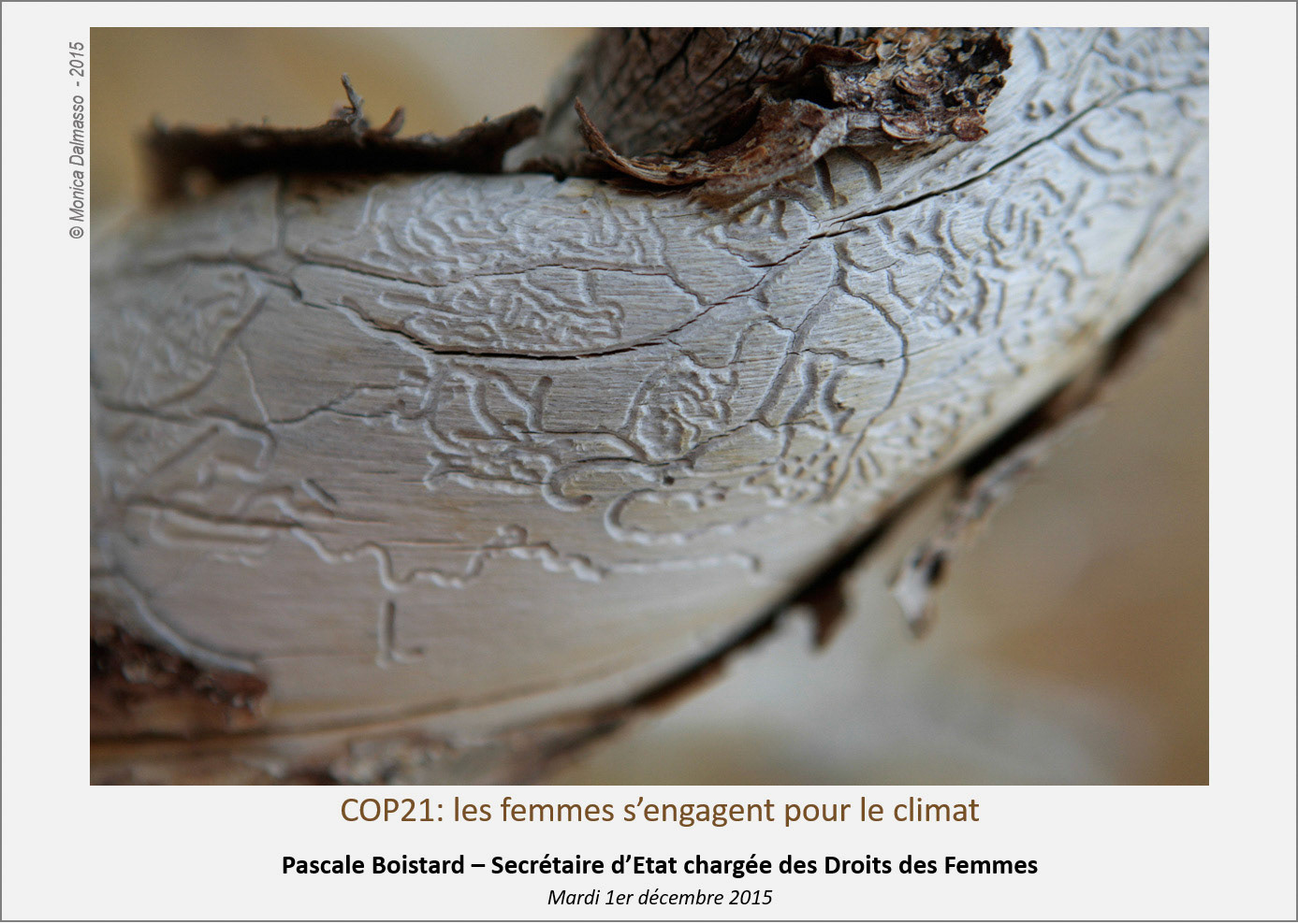 Exposition Cop 21 plateforme genre et développement
