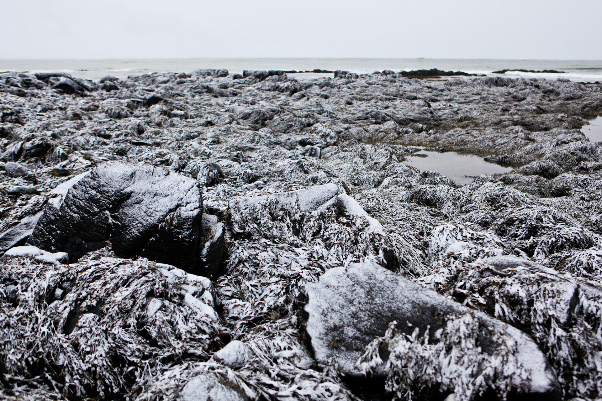 Iceland