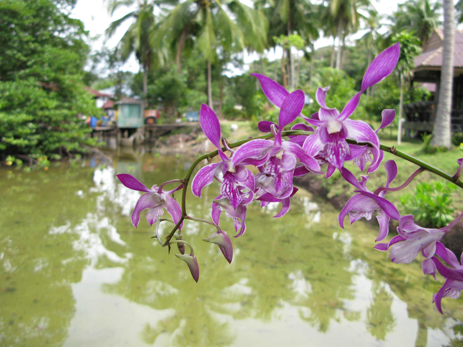 Thailand