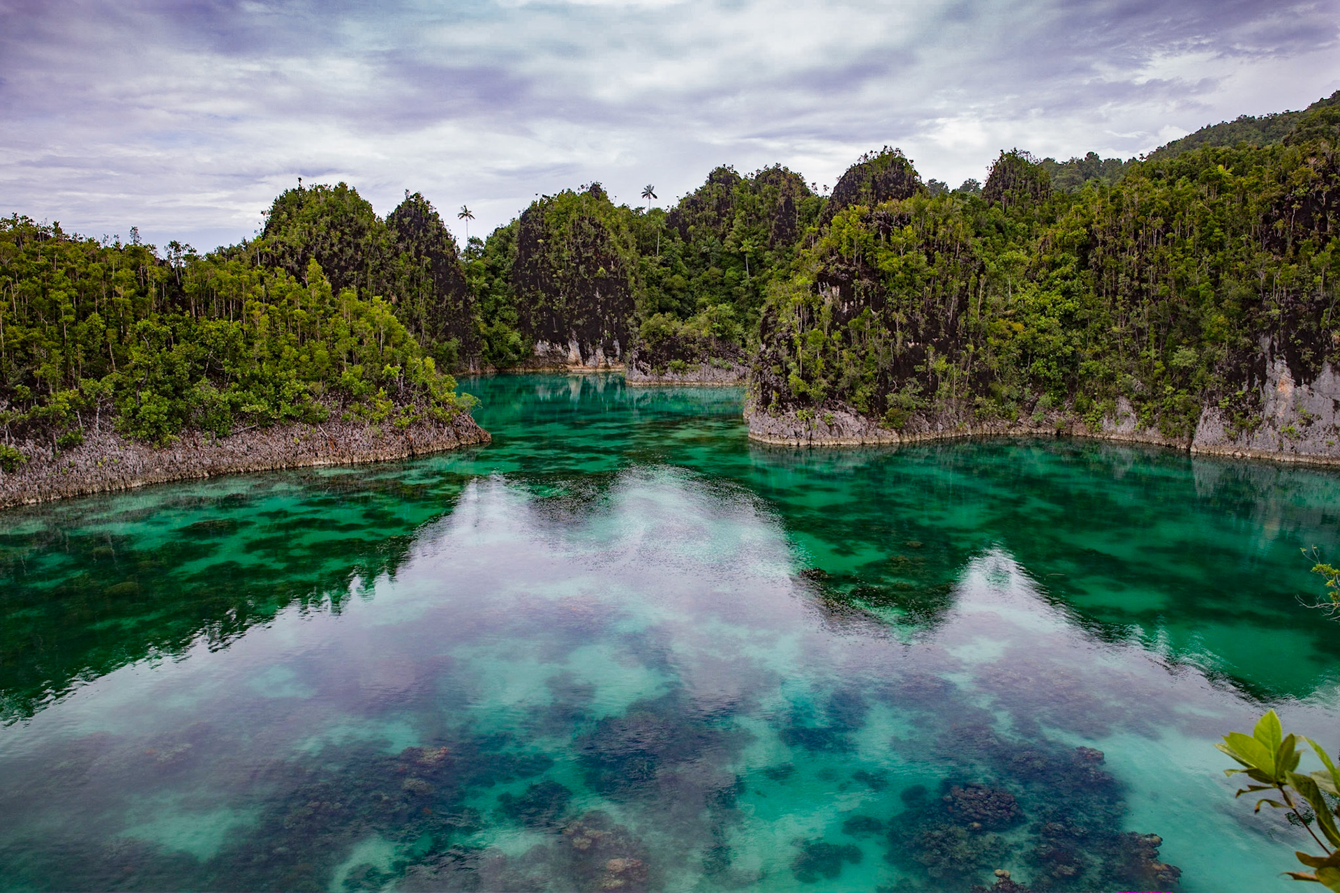 Papua