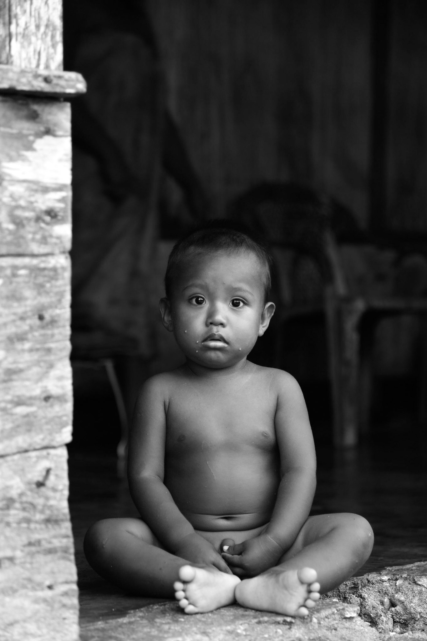 Sulawesi