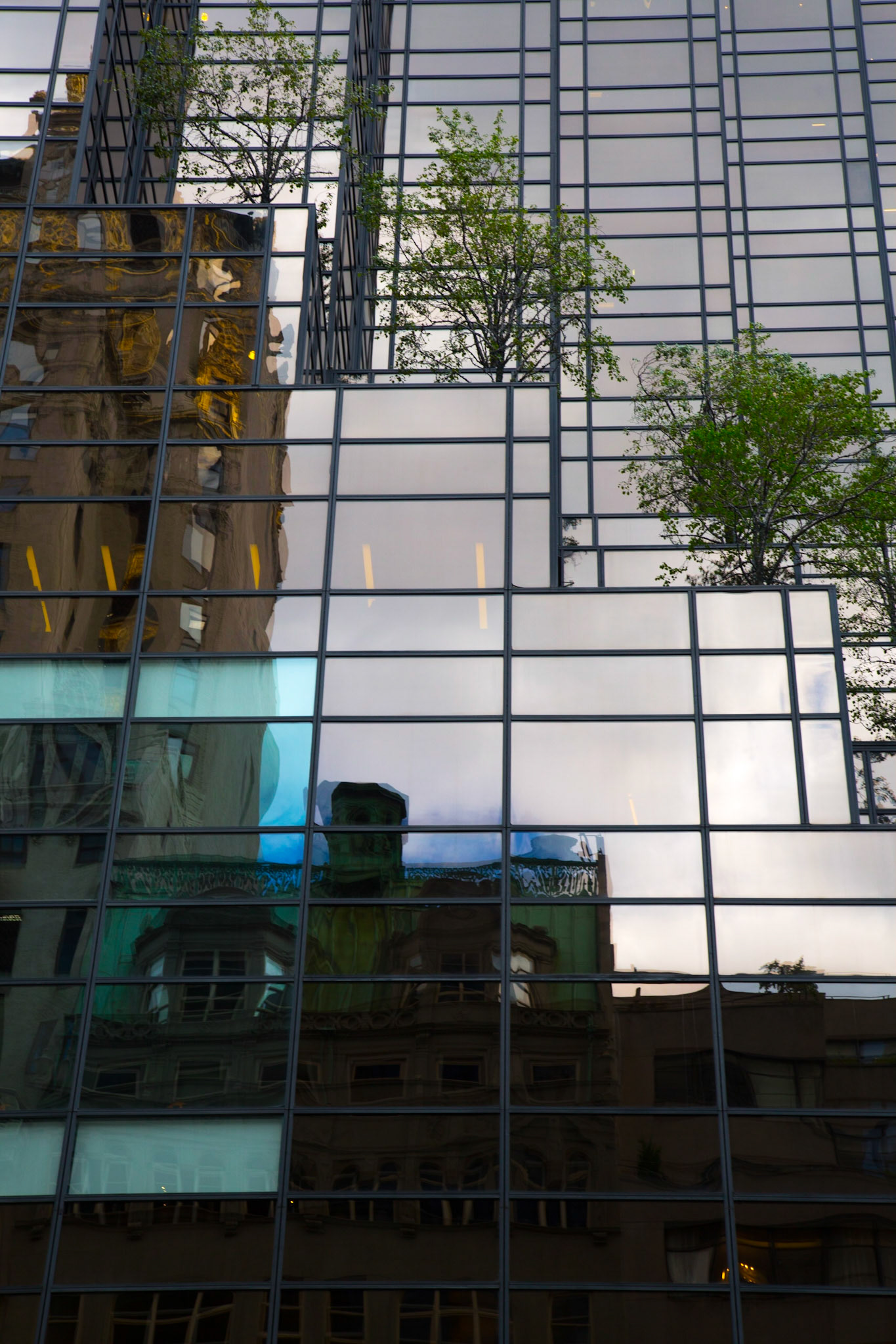 New-York