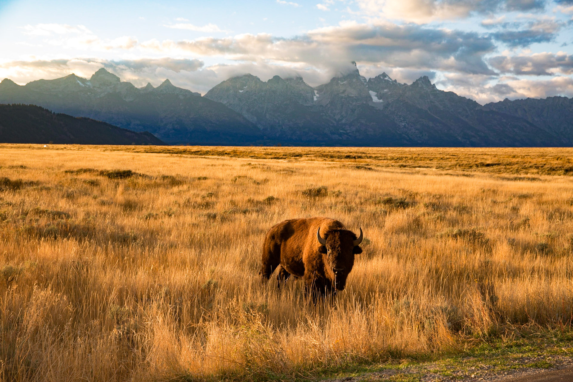Yellowstone, Wyoming