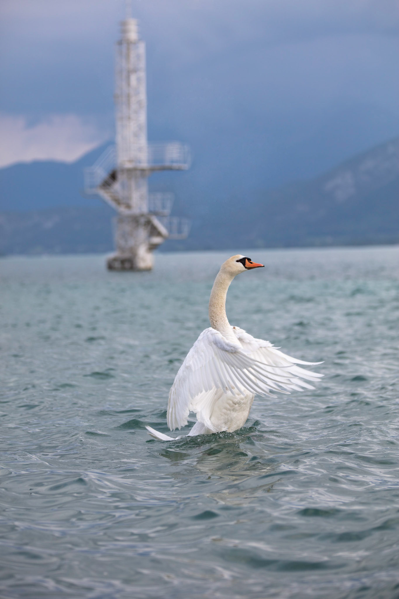 Lac d'Annecy
