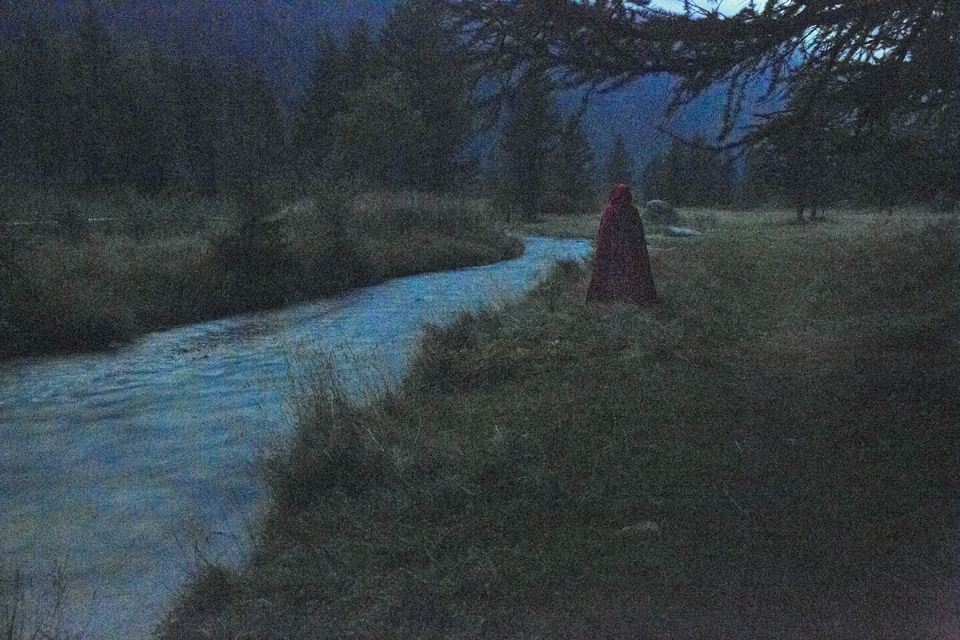 Red riding hood
