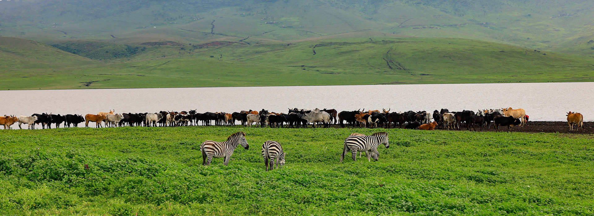 Tanzania, Ngoro Ngoro for Kopelion