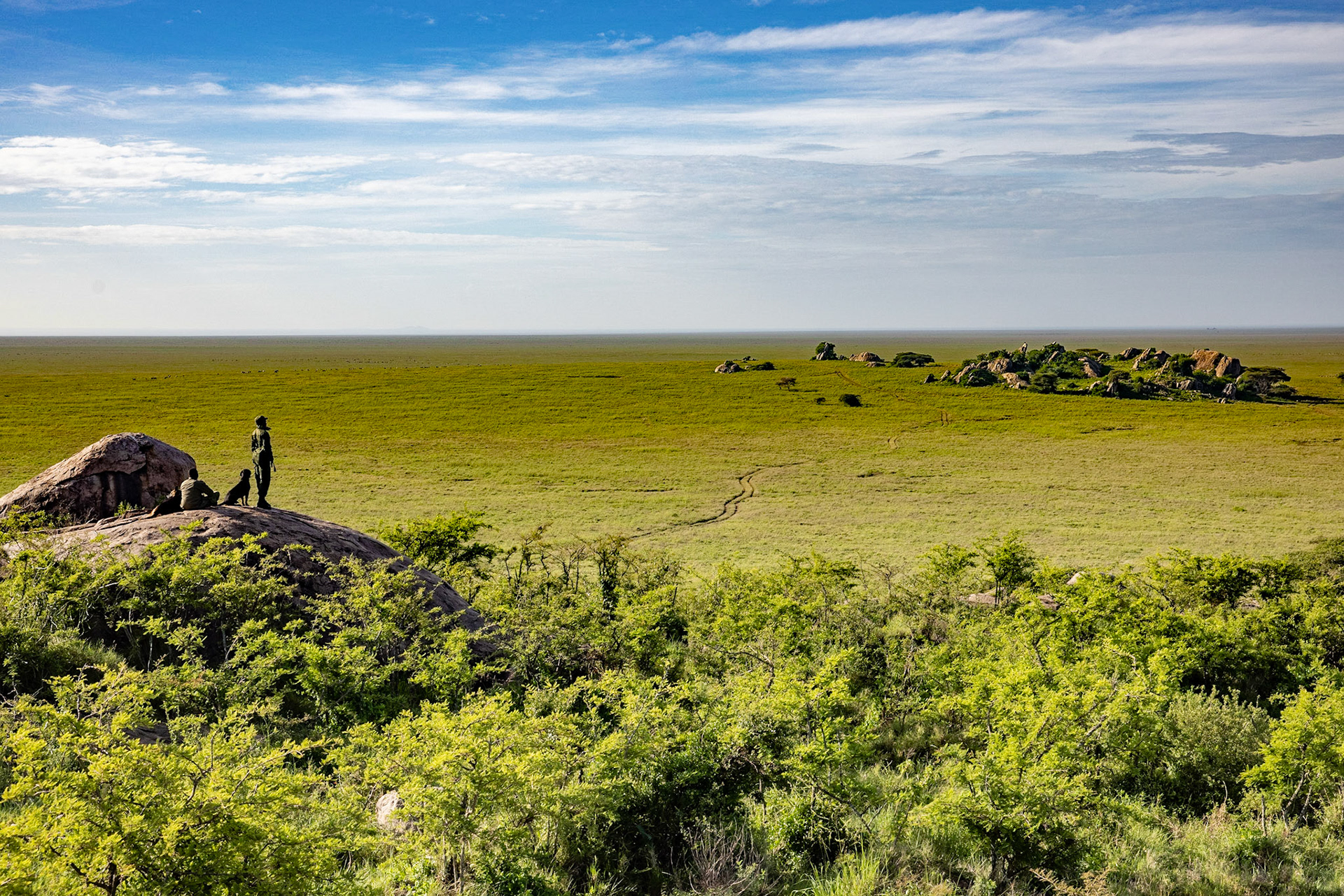Tanzania, Serengueti National Park, K9 dog's unit