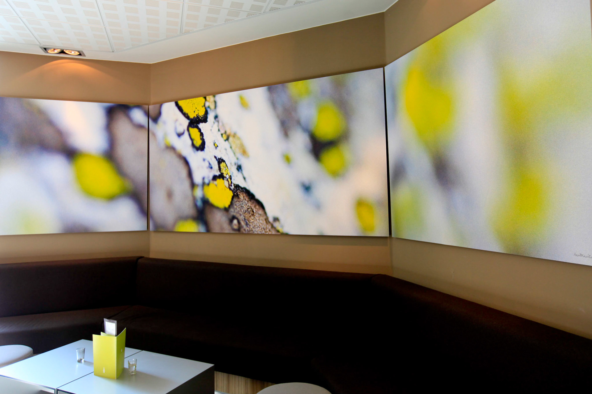 Hotel les Aiglons ****, giant prints