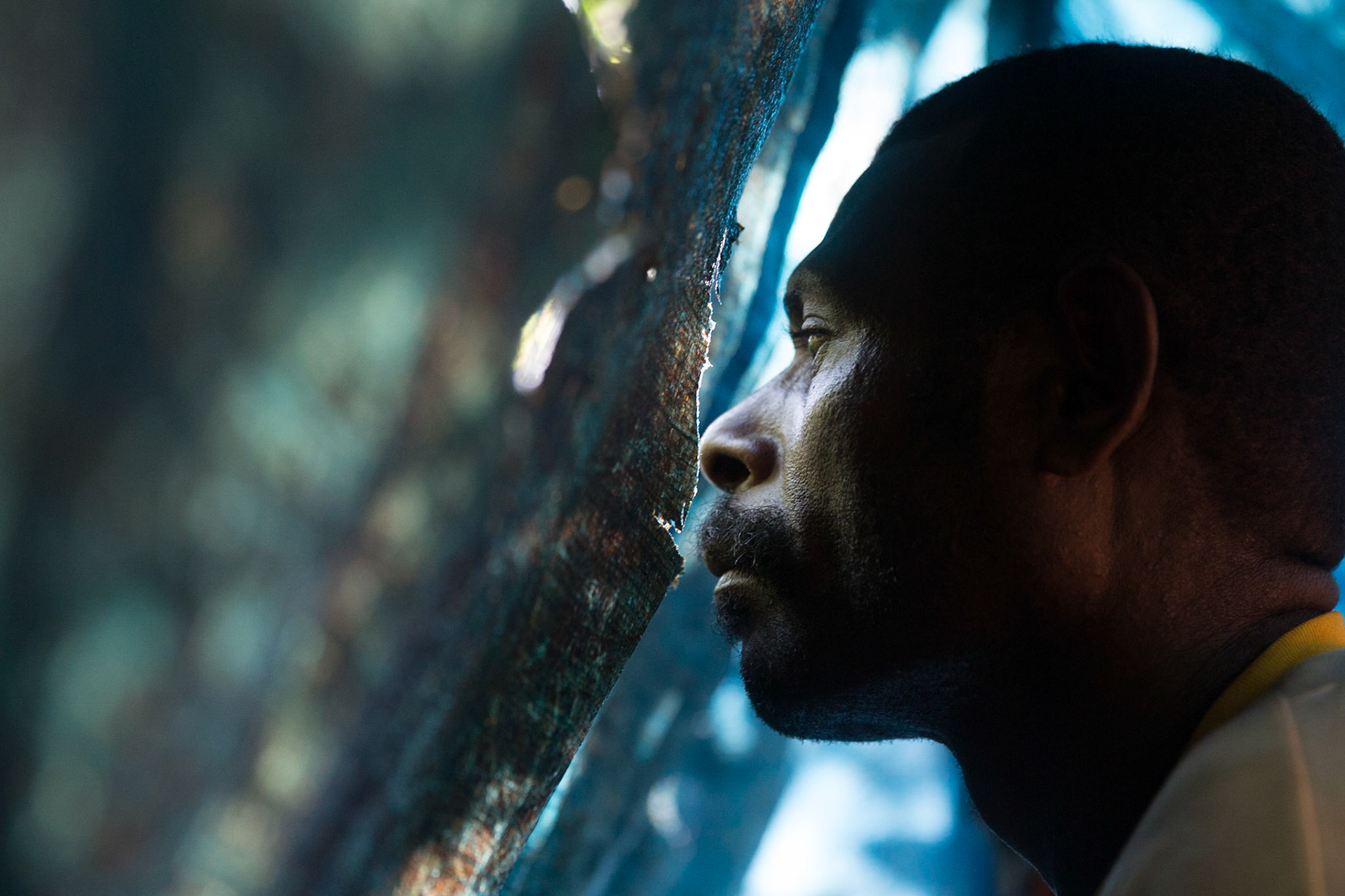 Papua, bird watcher