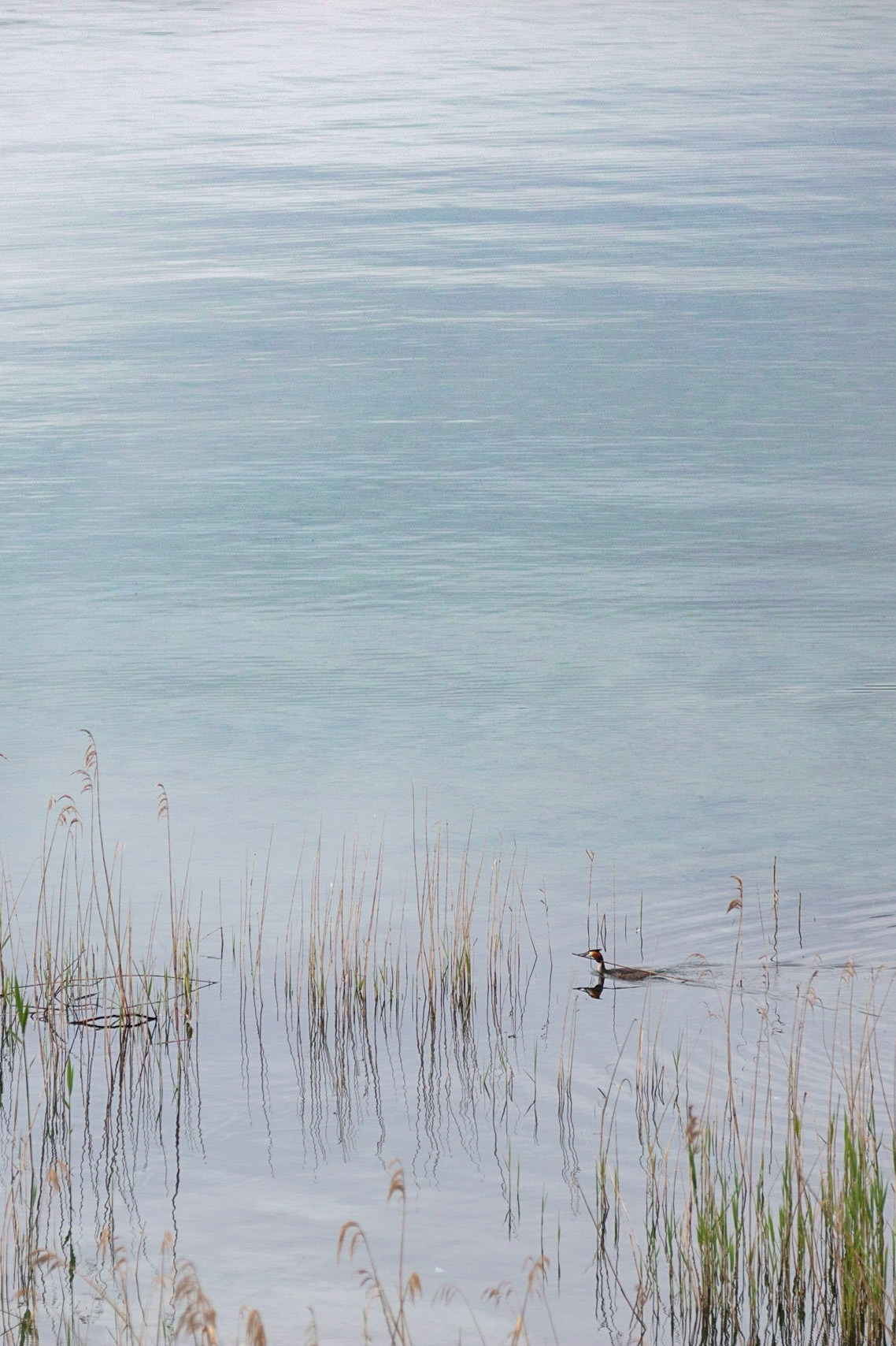 Lac d'Annecy