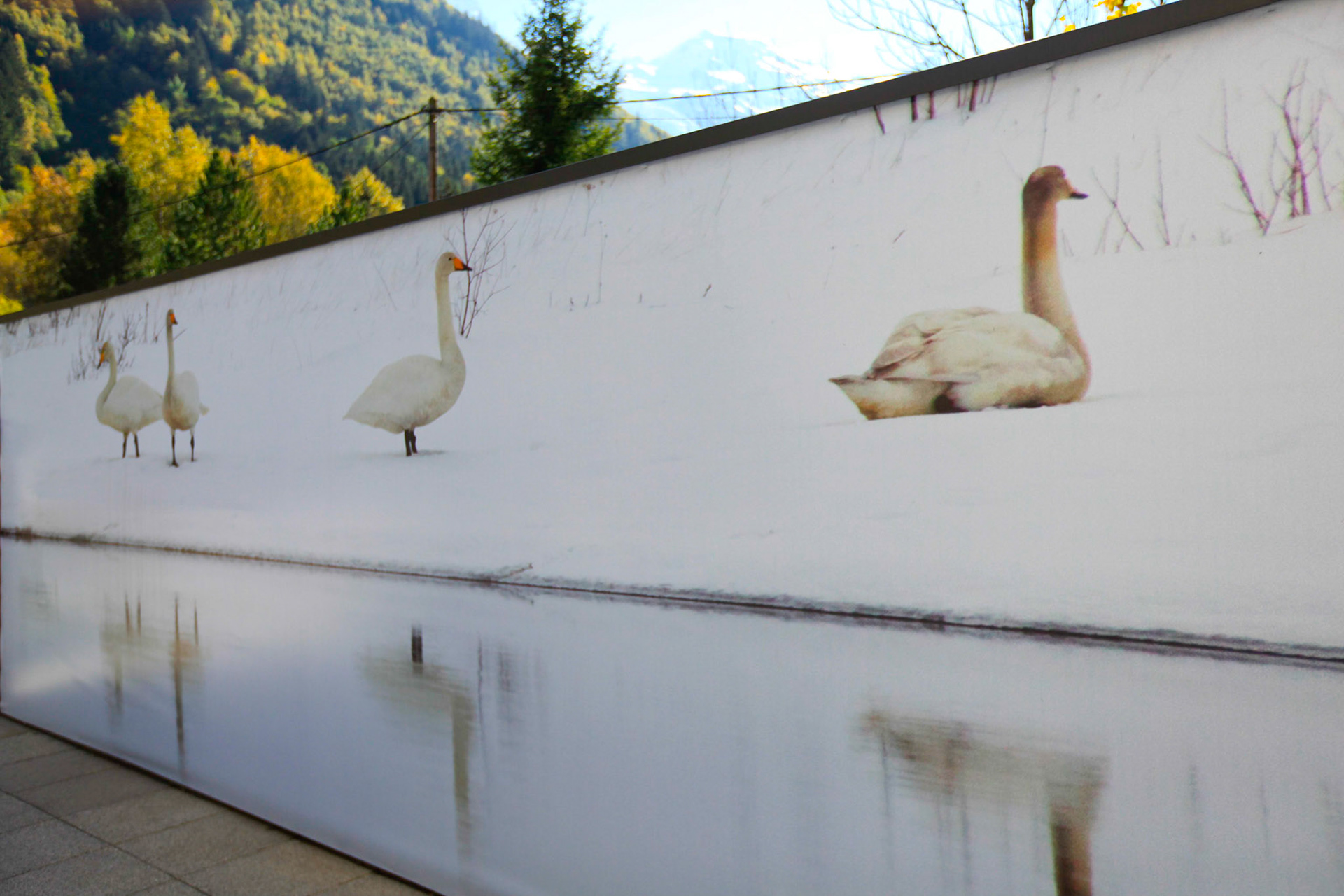 Hotel les Aiglons ****, Chamonix