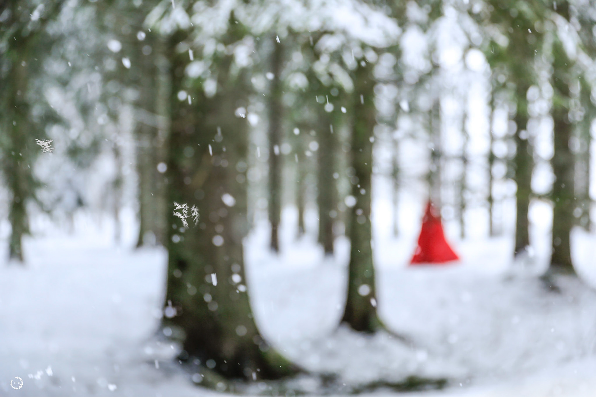 Red riding hood # 302