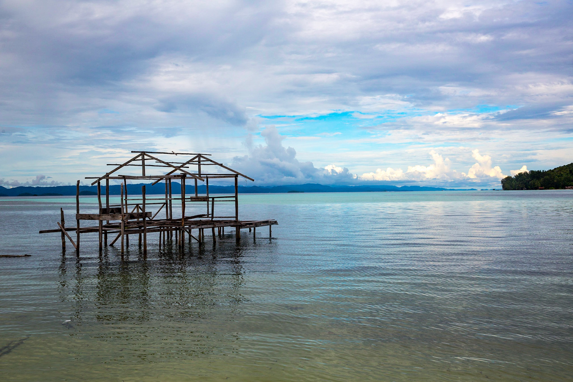 Papua