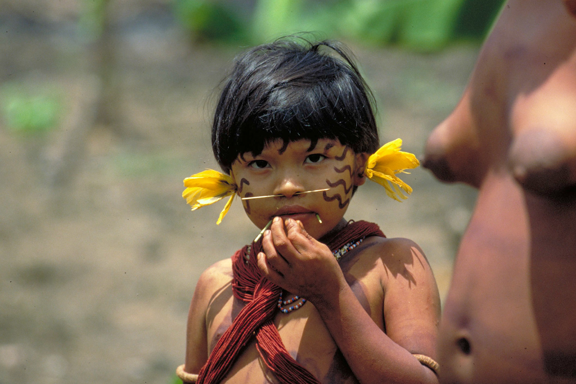 Yanomami