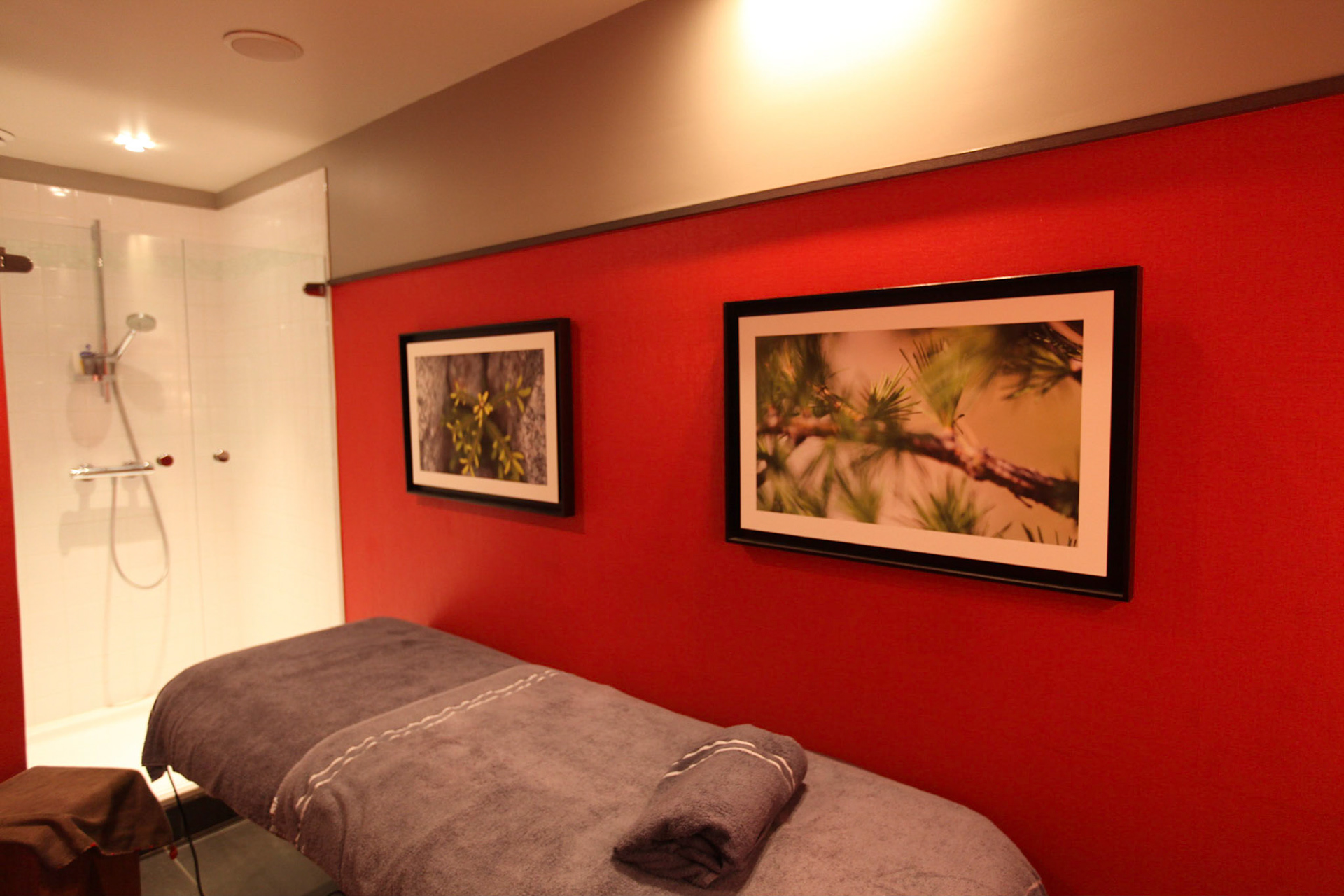 Hotel Morgane, ****Chamonix,