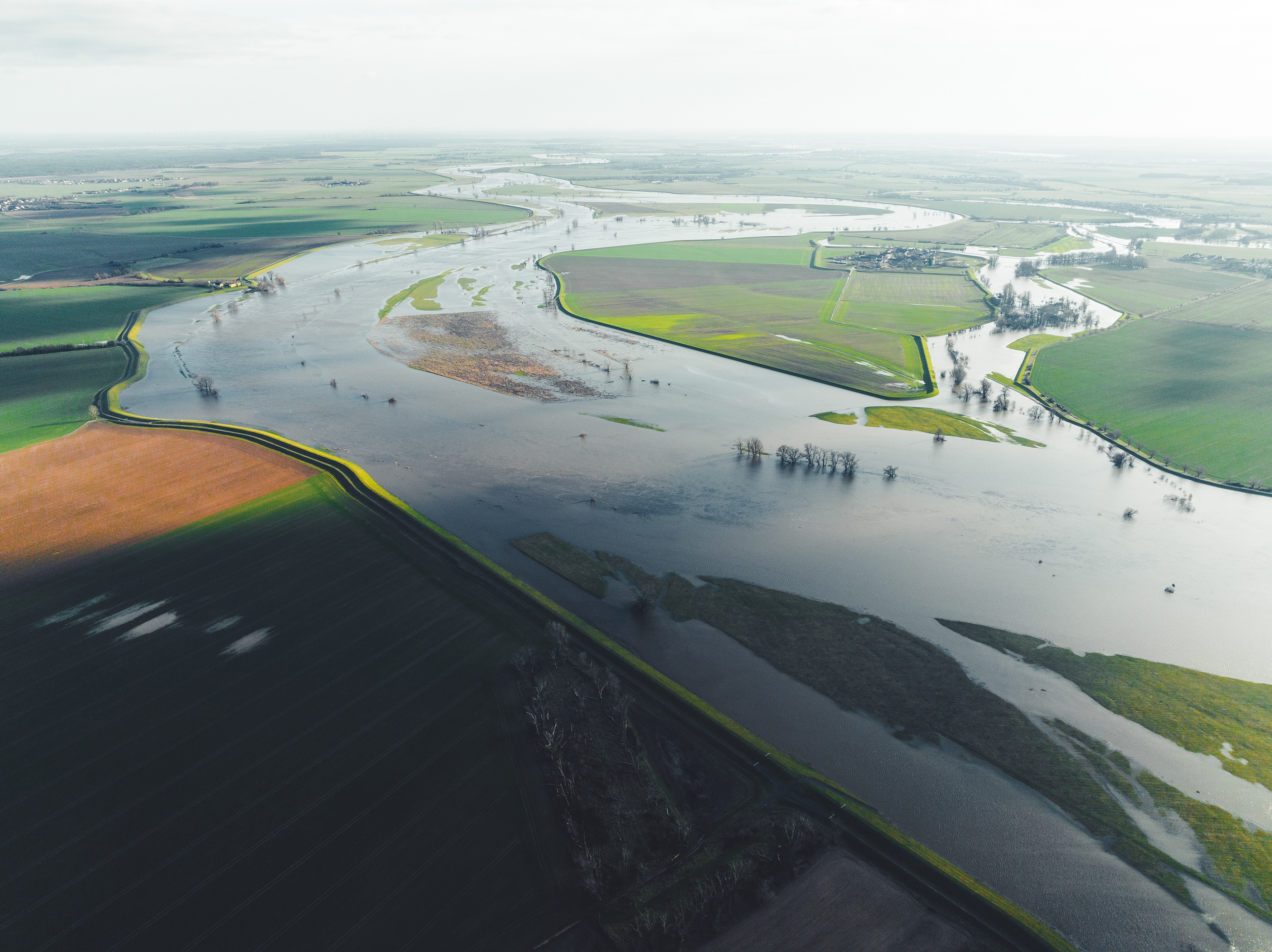 Elbe Hochwasser 2023