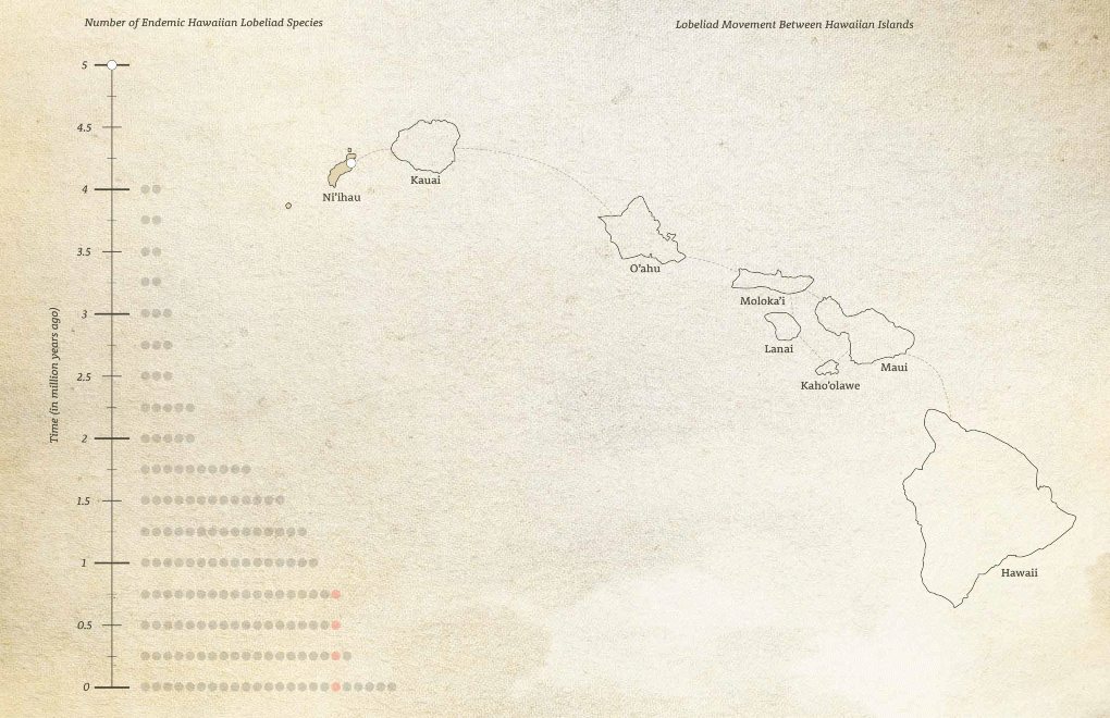 Hawaii Migration Map