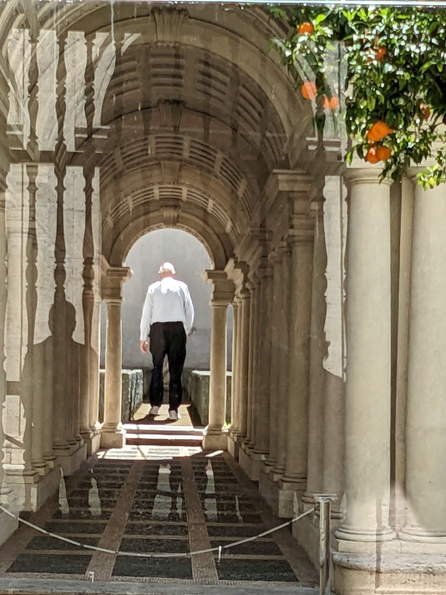 (photo by Kathryn Firth)