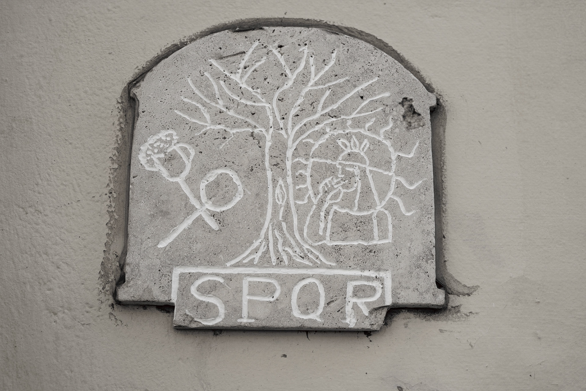 SPQR - Selected Photos Quality Random (47 snapshots with a few keepers)