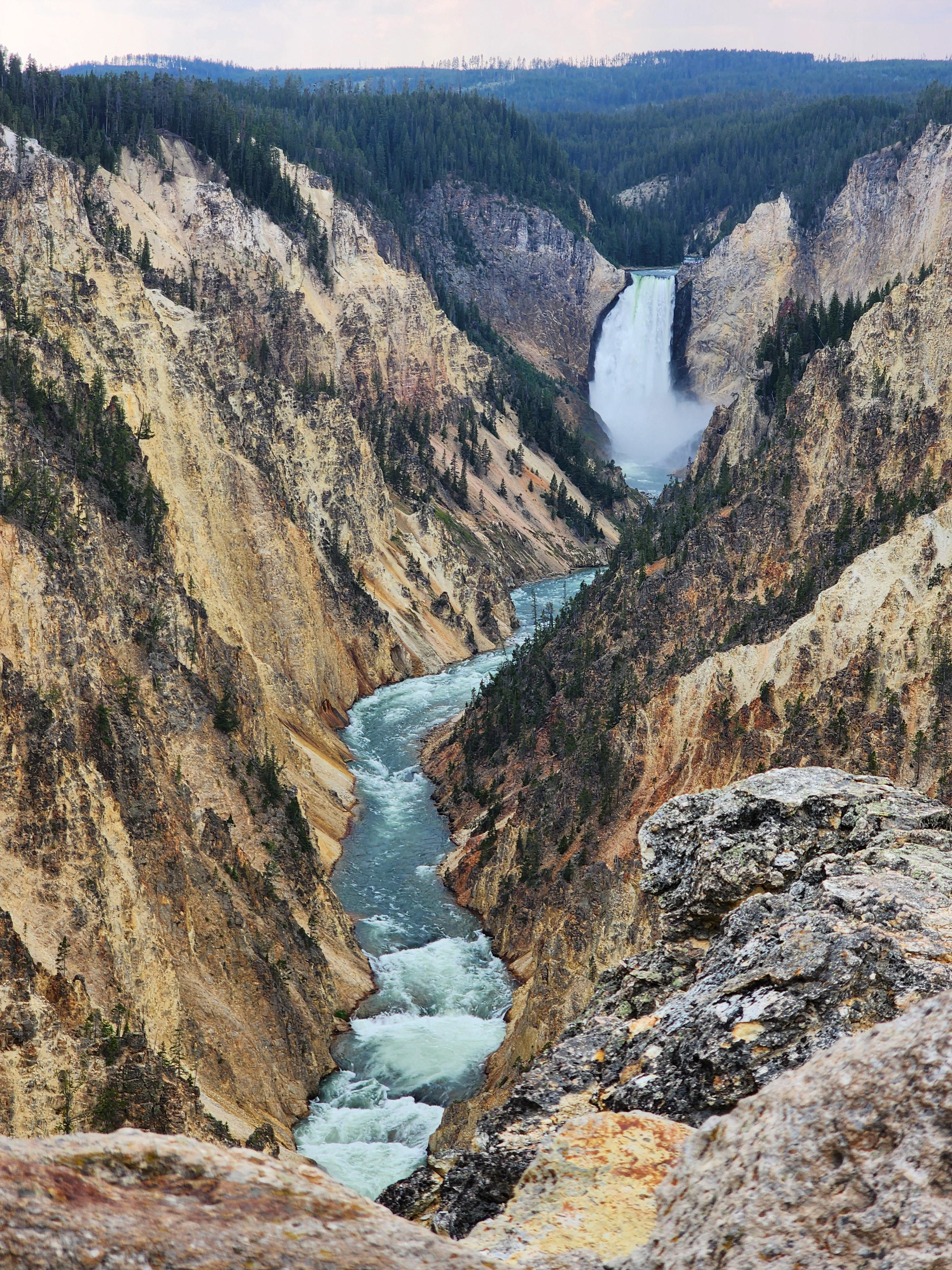 Yellowstone Falls