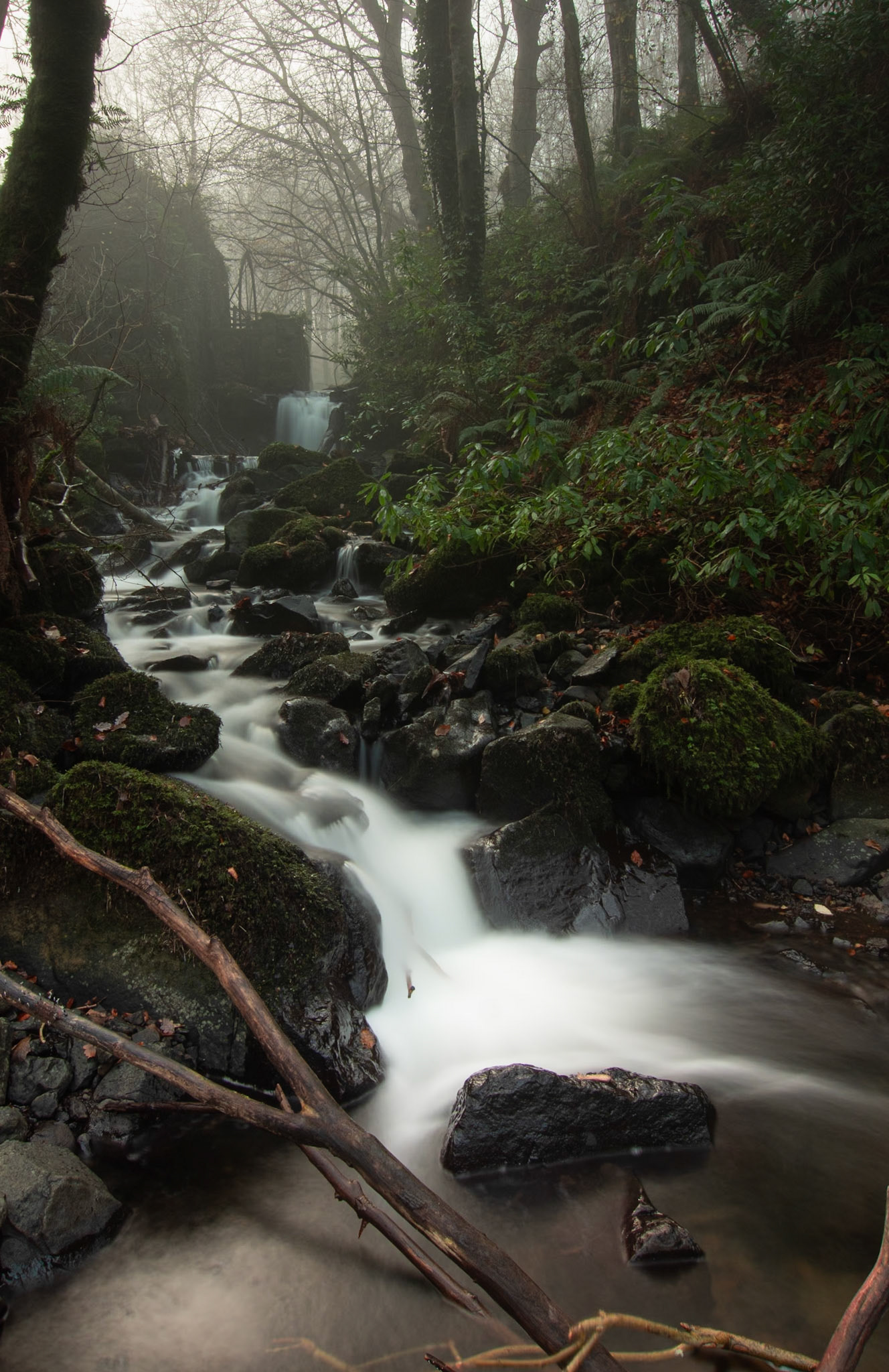 Watermill, Downhill Forest