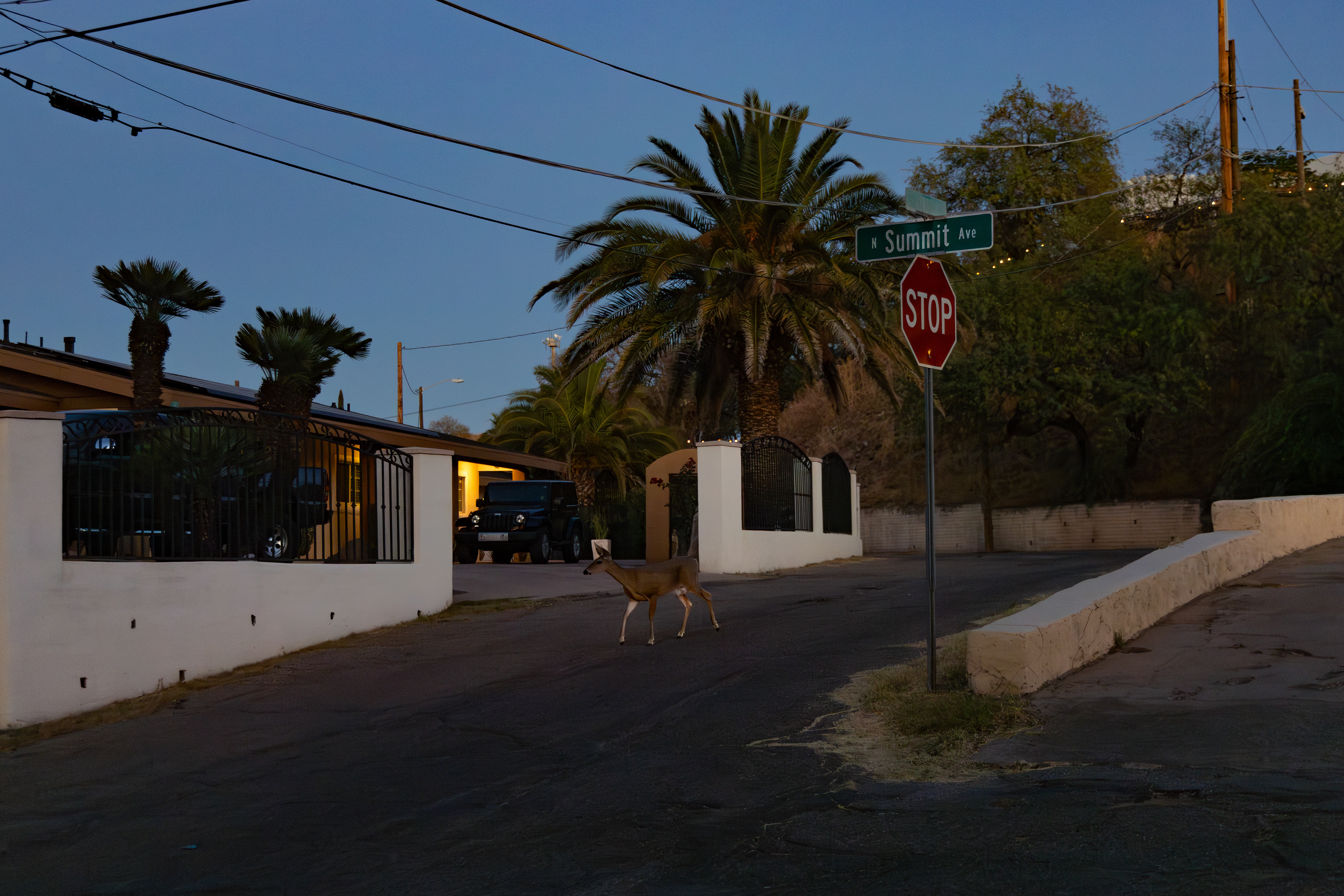 Remote Video Surveillance System (RVSS); 31.334811, -110.933093 (Nogales, Arizona); Digital photograph; October 2024.