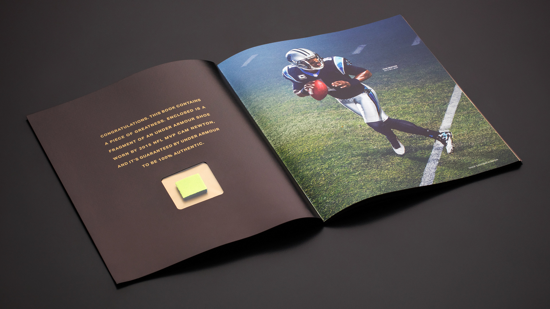 Flanagan X Creative Director - UNDER ARMOUR EASTBAY BRAND BOOK