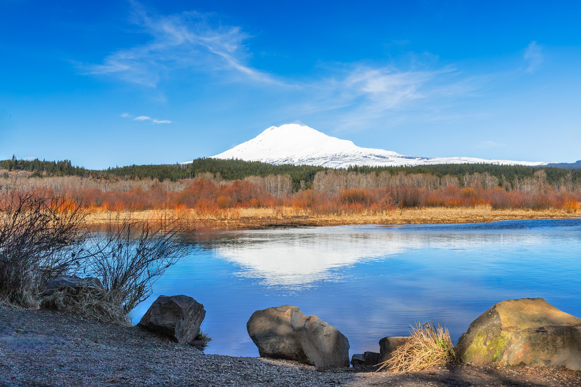 View of Mount Adams from Trout Lake