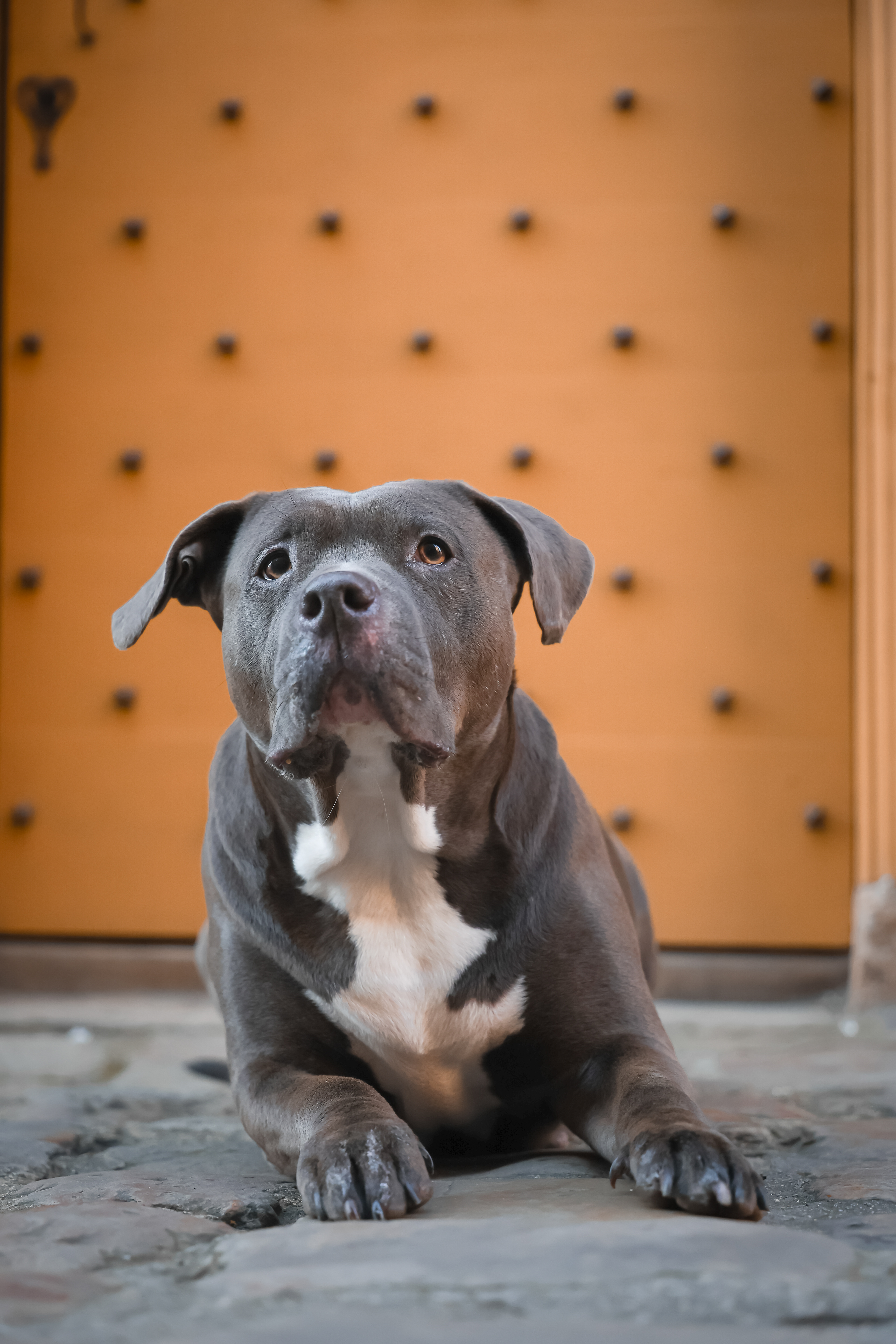 Nala