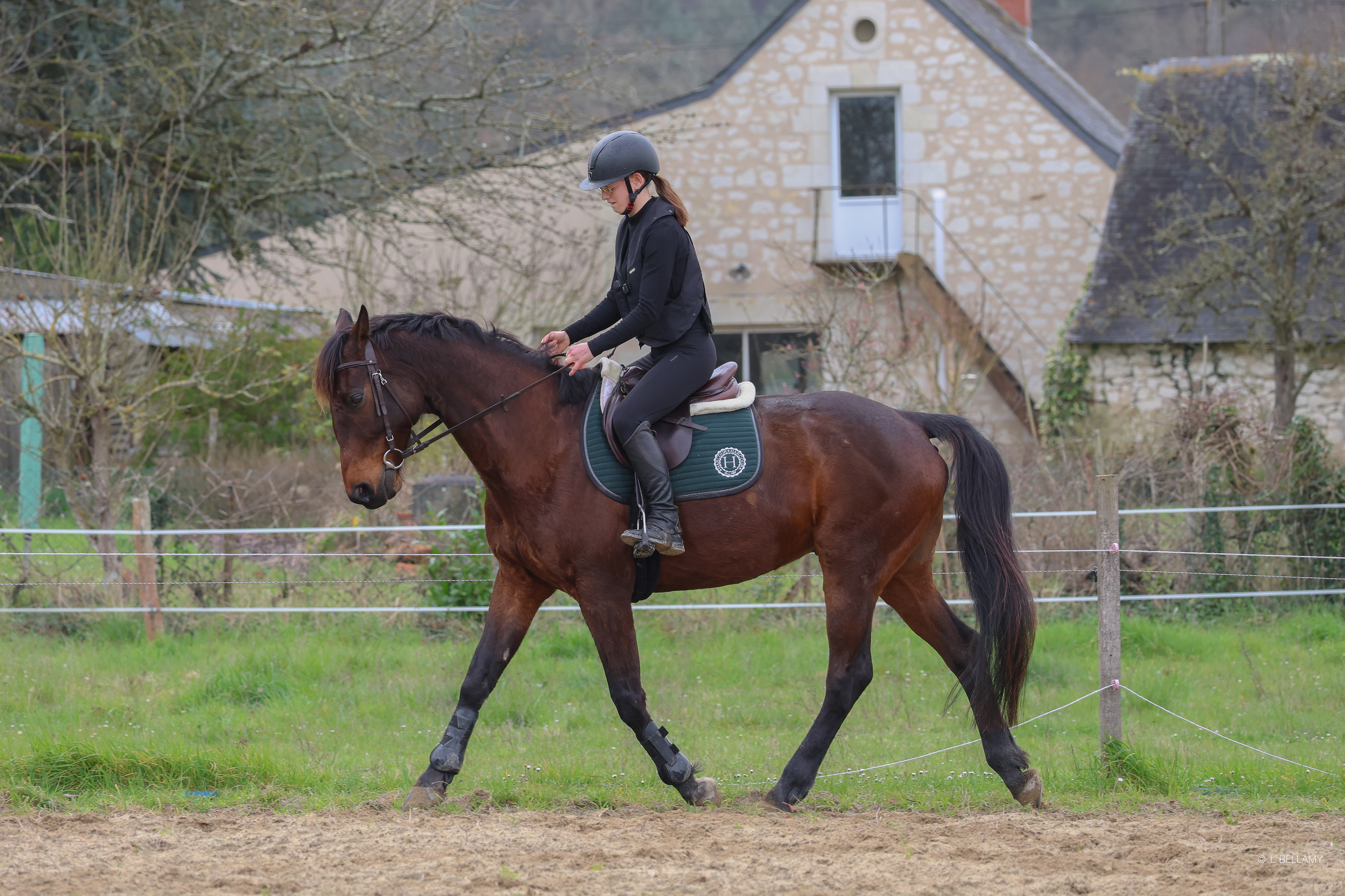 Eloïse et Crack