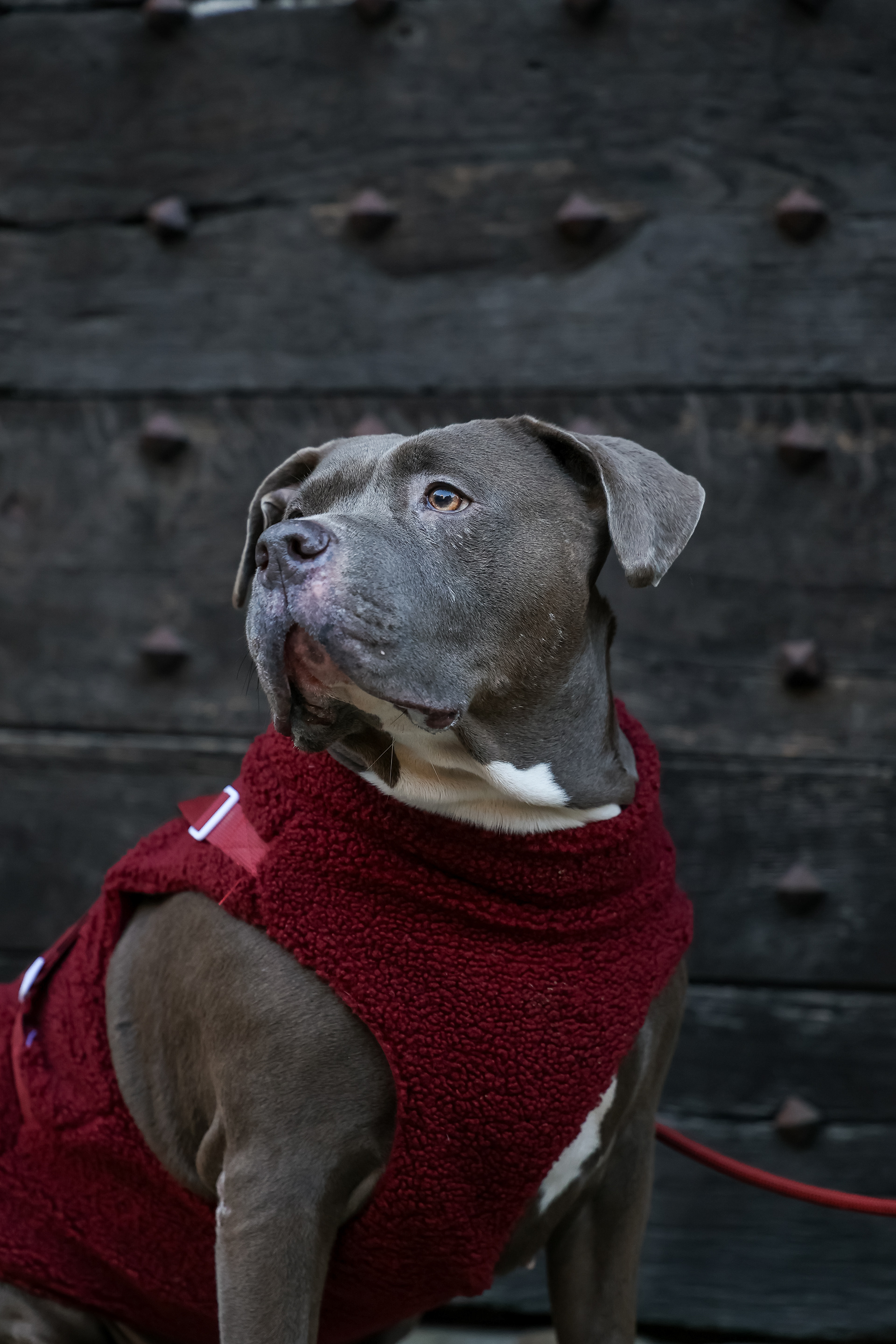 Nala