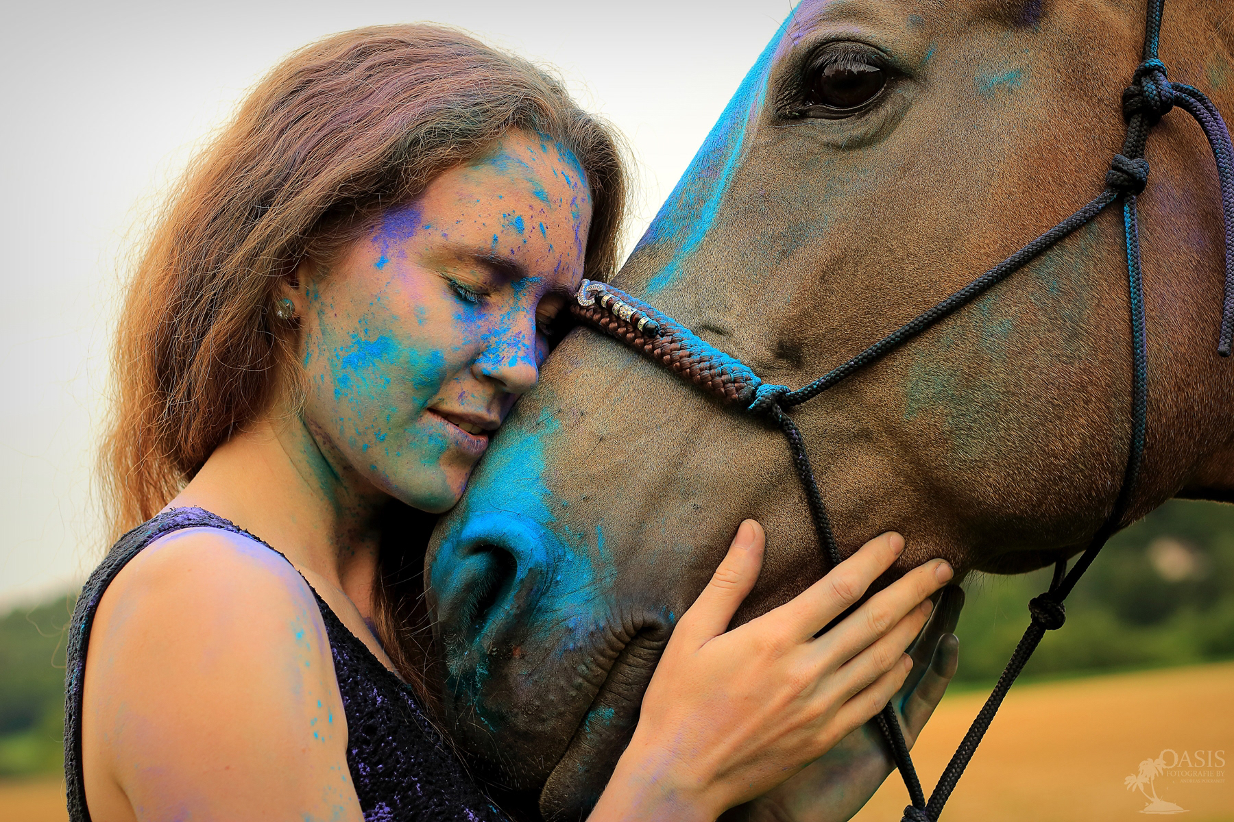 Holy Pferde Shooting 