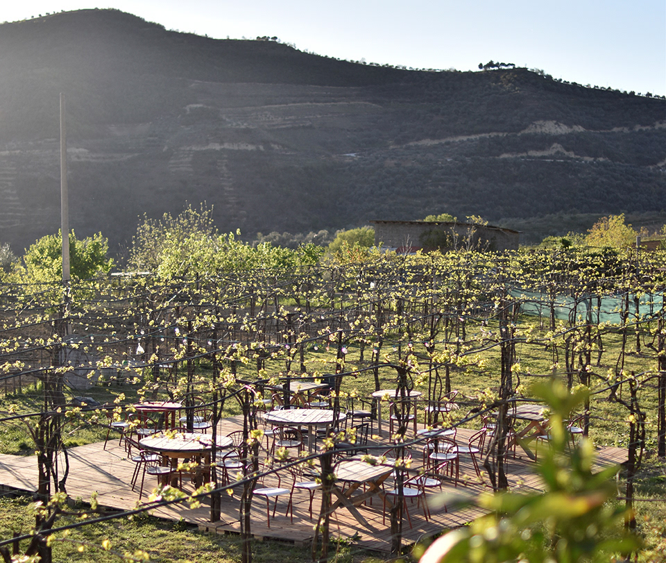 Alpeta Agrotourism and Winery / Agrotourizmi dhe Verërat e Alpeta