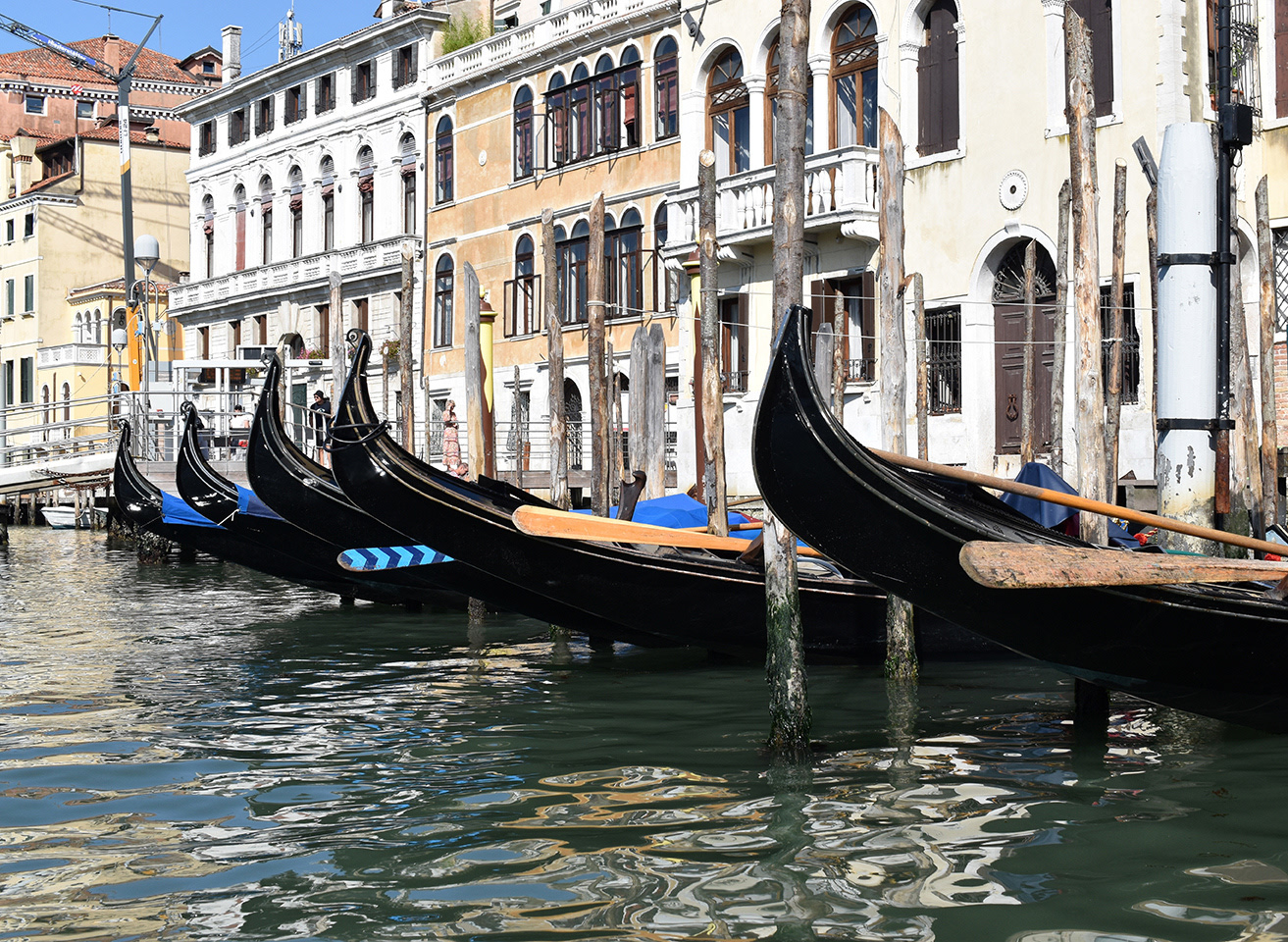 Canal Grande,/ Kanali i Madh