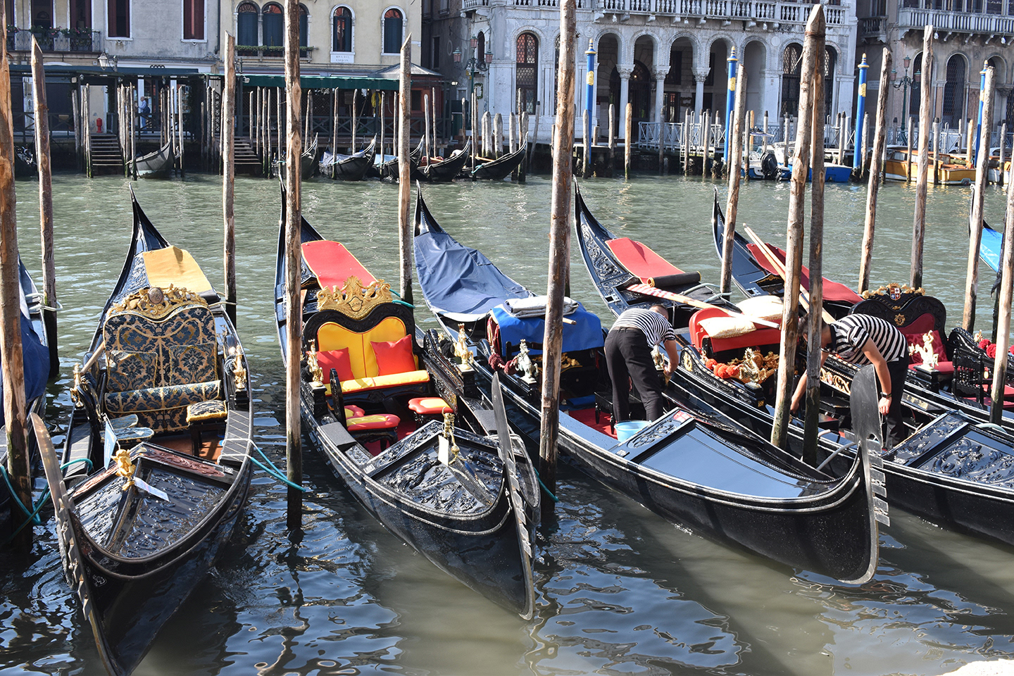 Canal Grande,/ Kanali i Madh