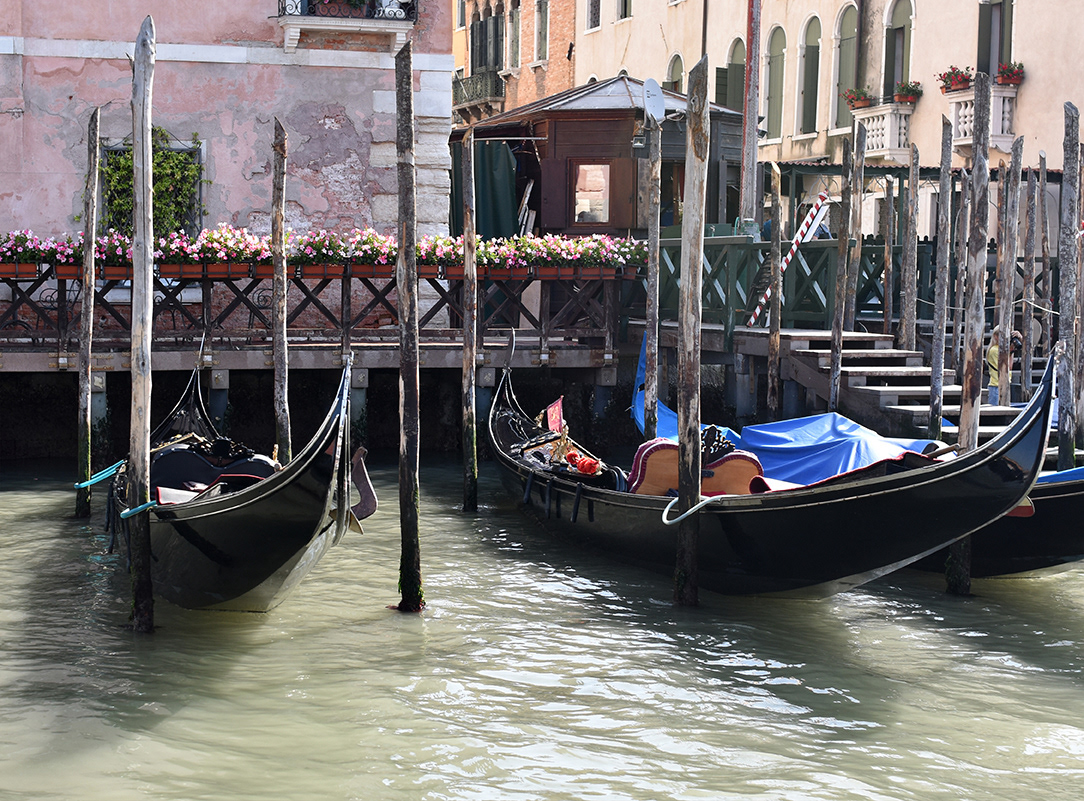 Canal Grande,/ Kanali i Madh