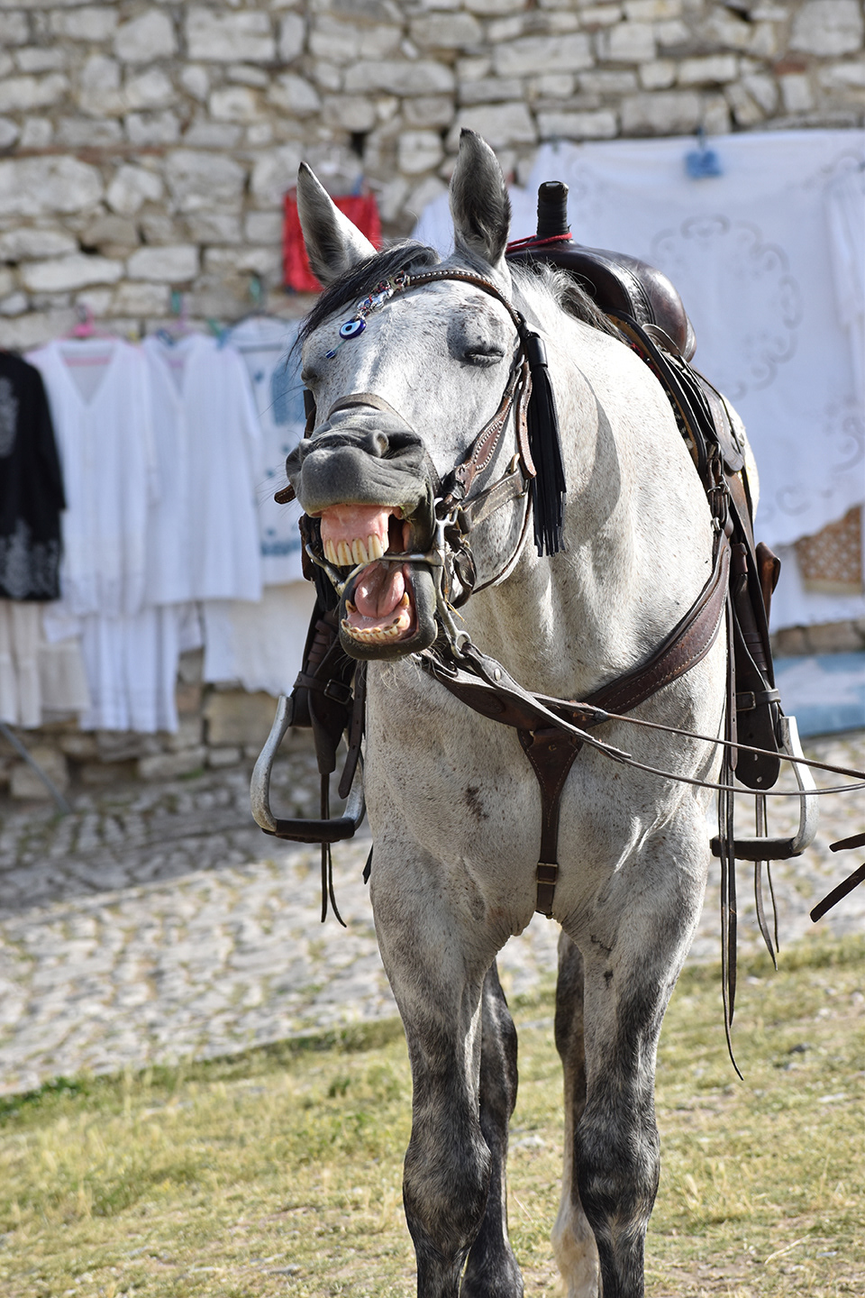 Berat Castle / Kalaja e Beratit