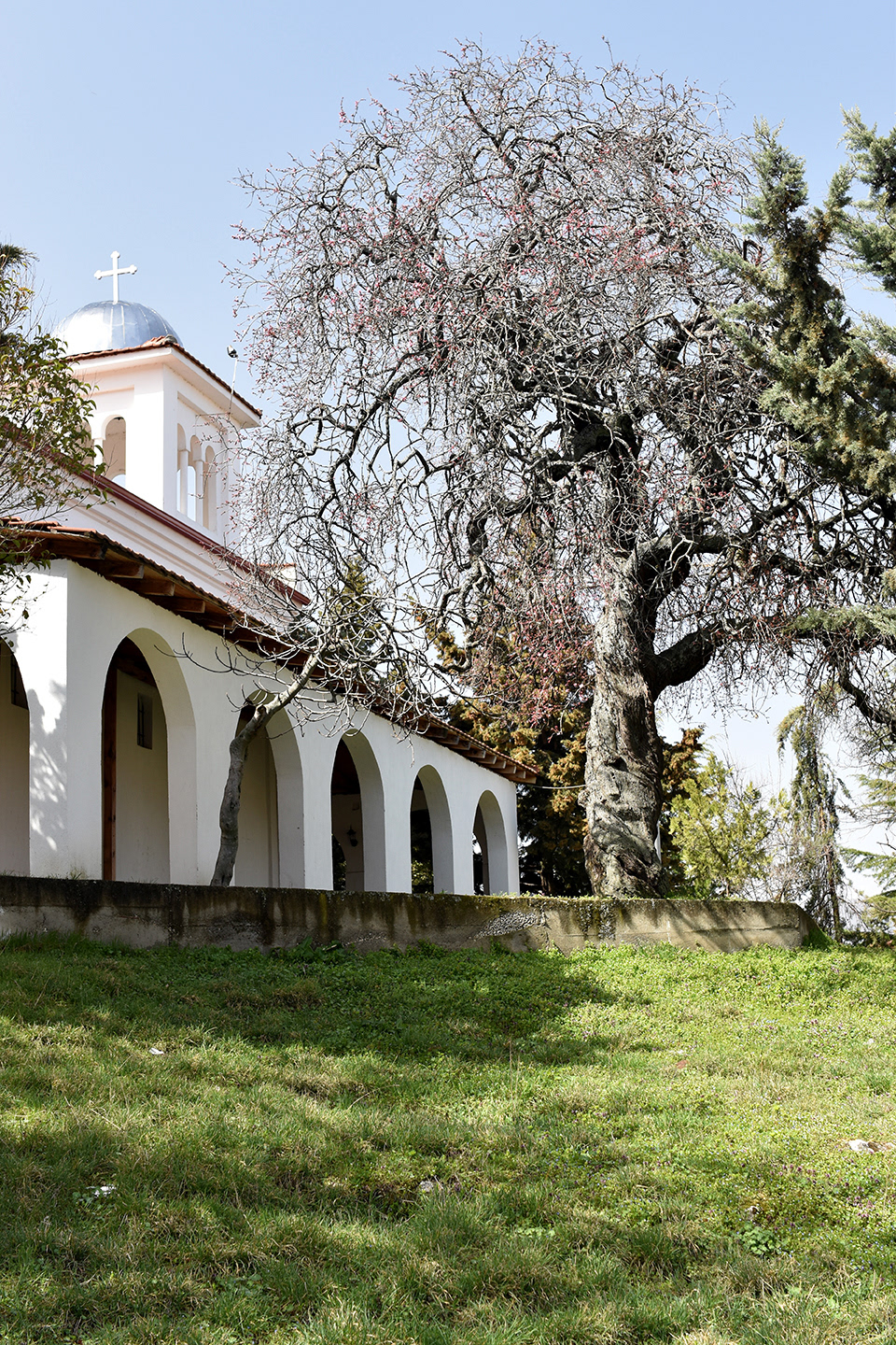 Orthodox Church / Kishë e Tushemisht